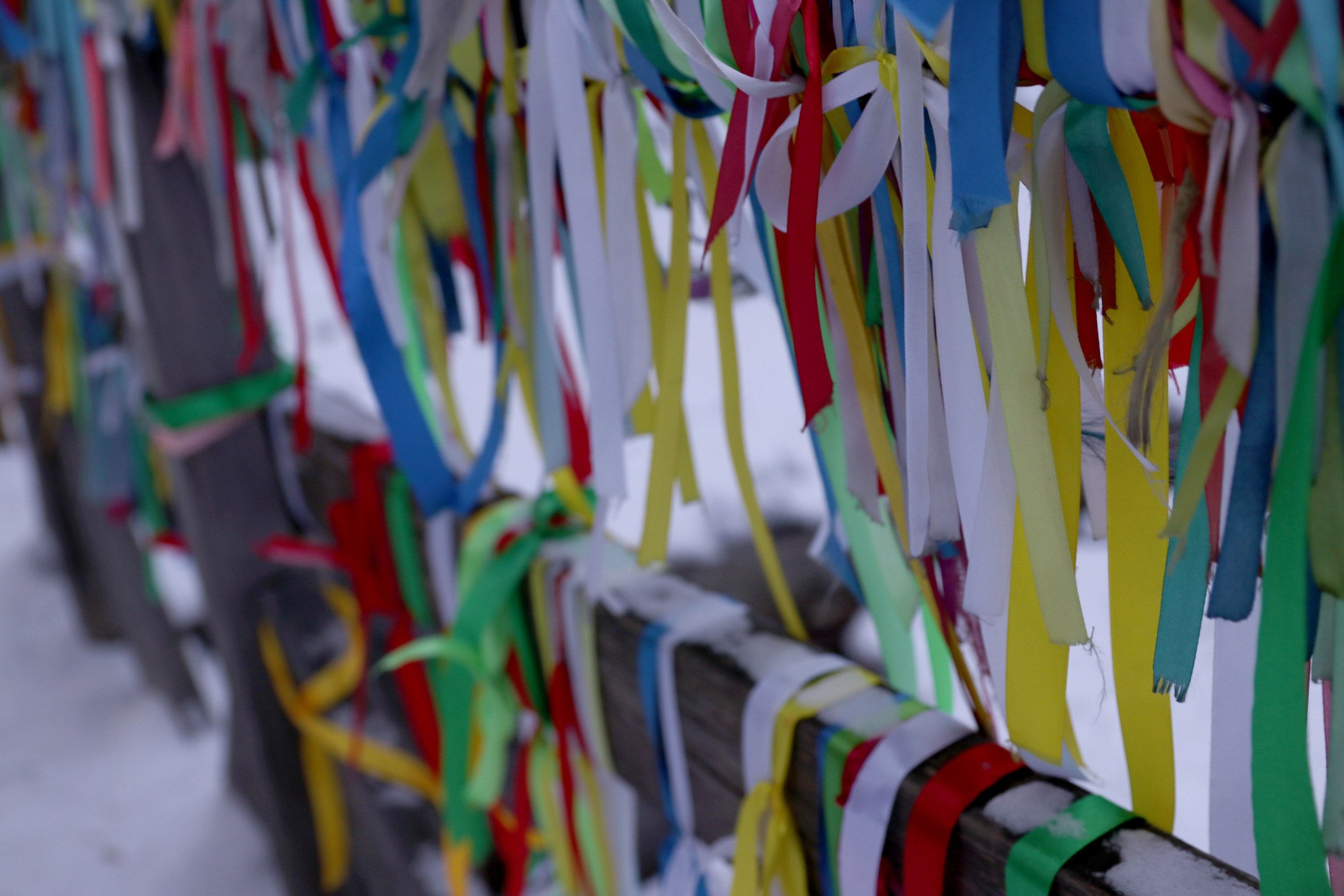 Аршан. Февраль 2025. Путешественник-фотограф из Санкт-Петербурга Татьяна Свистулина