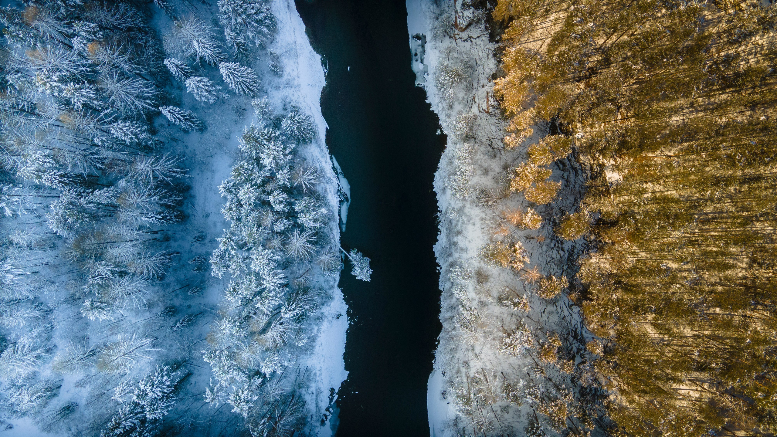 ПРИРОДА С ДРОНА. Фотограф Татьяна Борисова