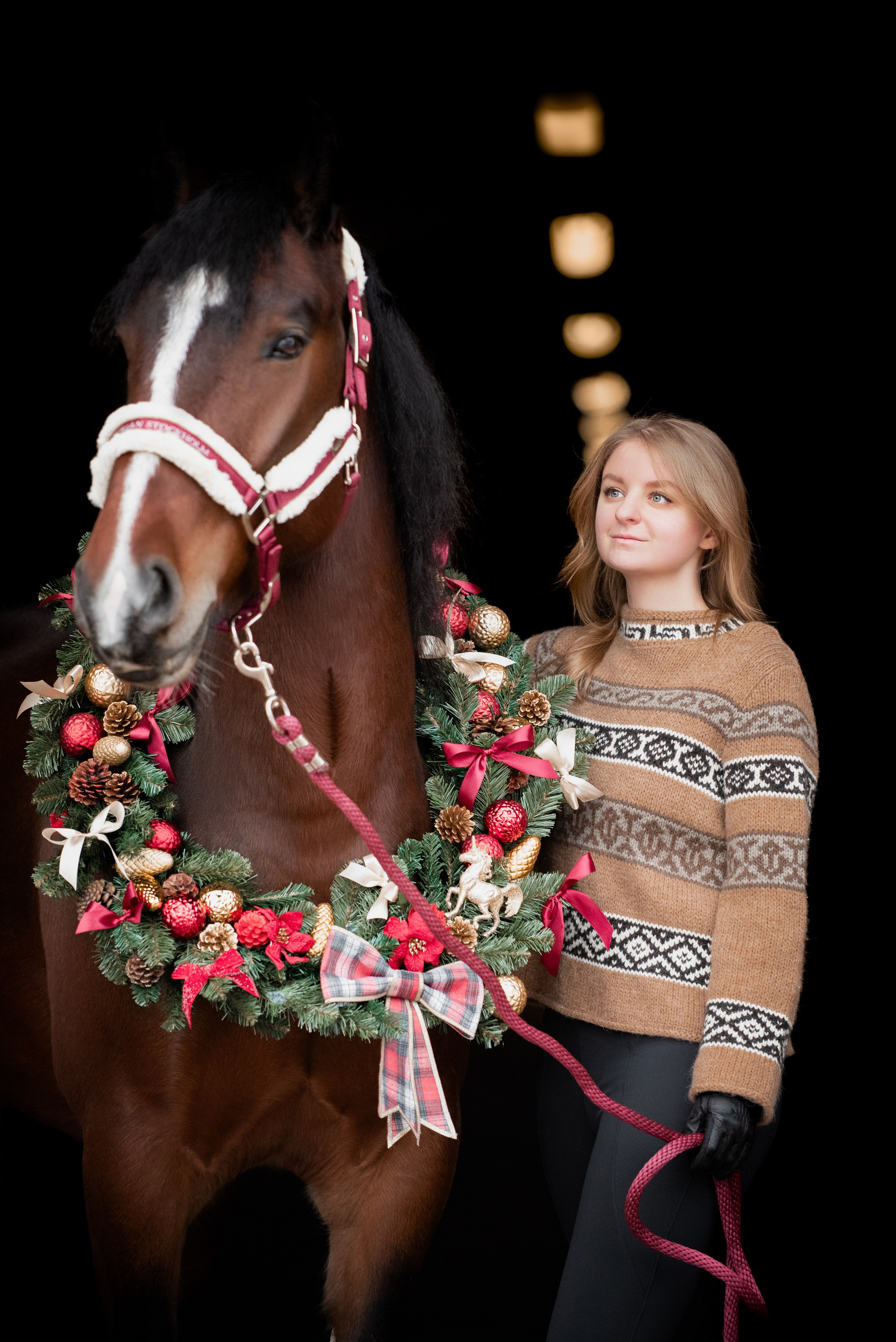 Зимний Настасьин табун. Куракина Дарья • Конный фотограф