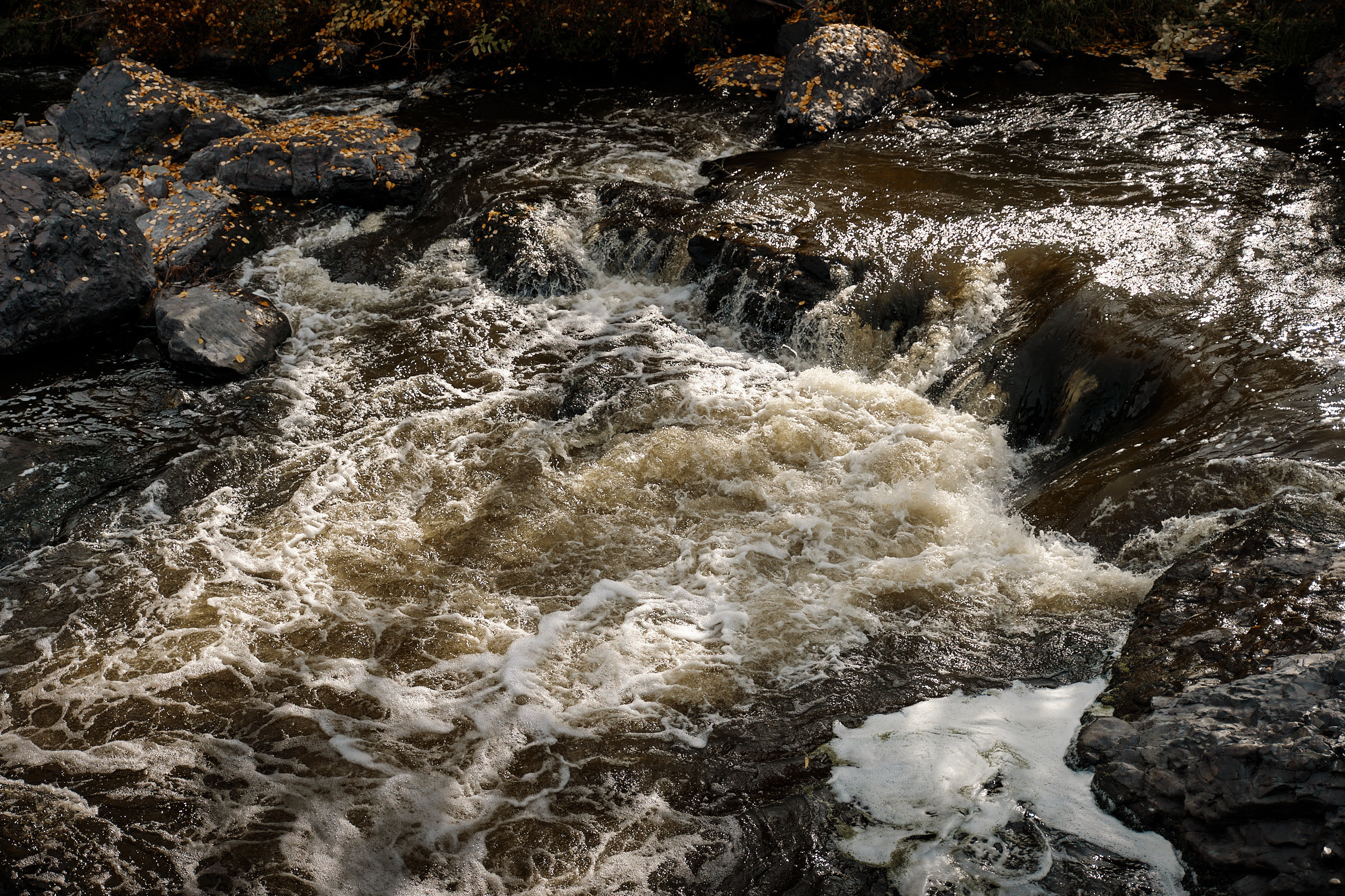 Юрий и Виктория. Свадебная фотосессия Ревун. Профессиональный фотограф в Екатеринбурге Юра Сахар