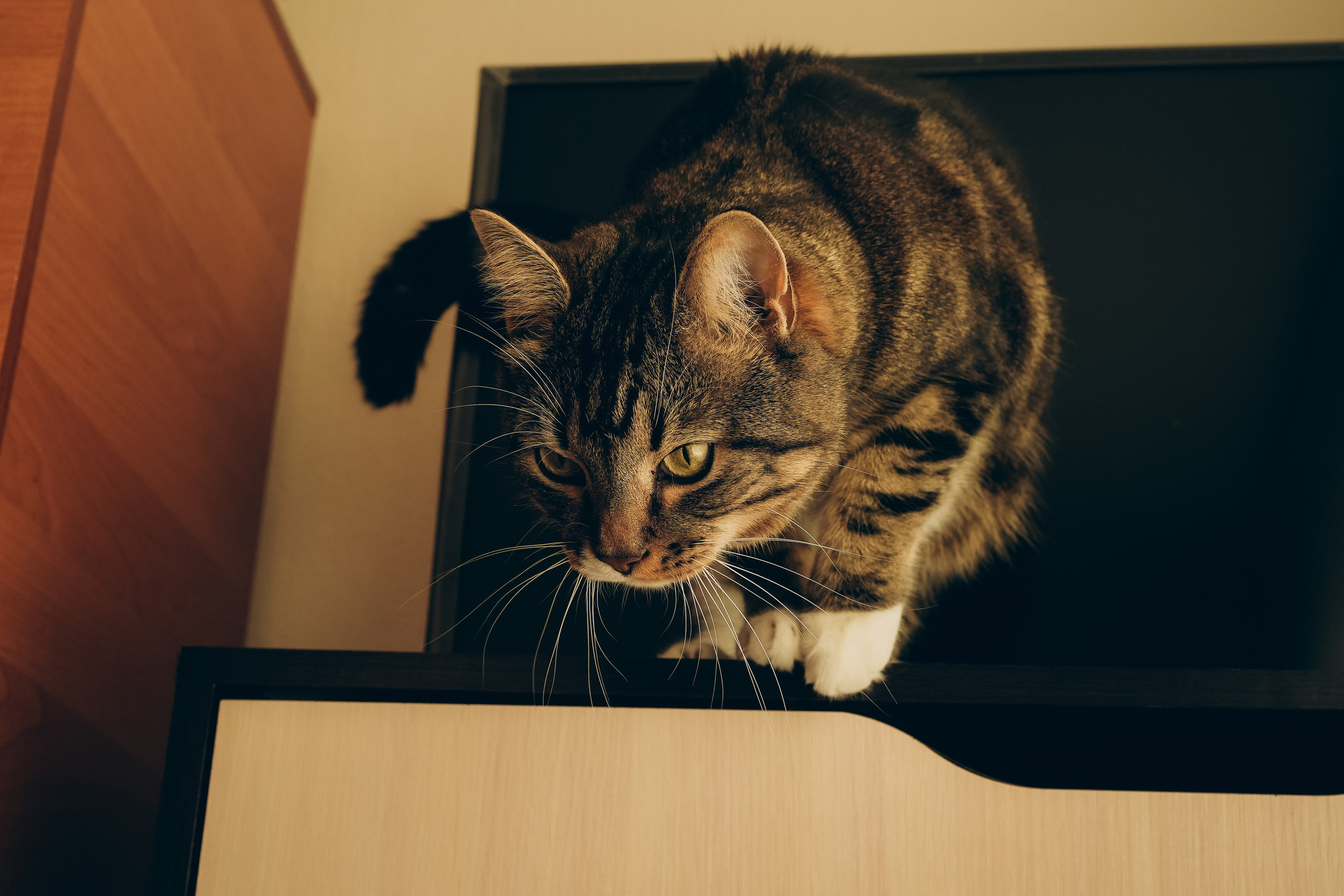 Женя, Таня и Арсюша. Семейный и детский фотограф Плесецк, Мирный Марина Забабурина