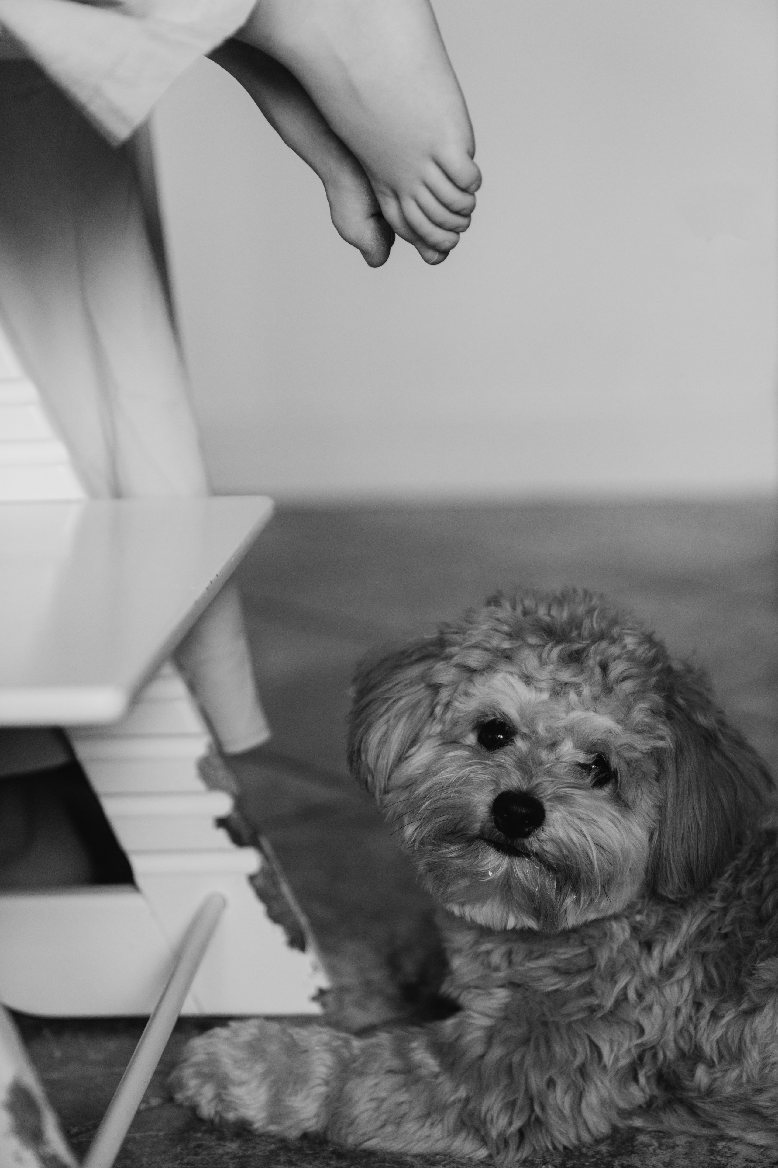 Павел, Наталья и Маша. Семейный и детский фотограф Плесецк, Мирный Марина Забабурина