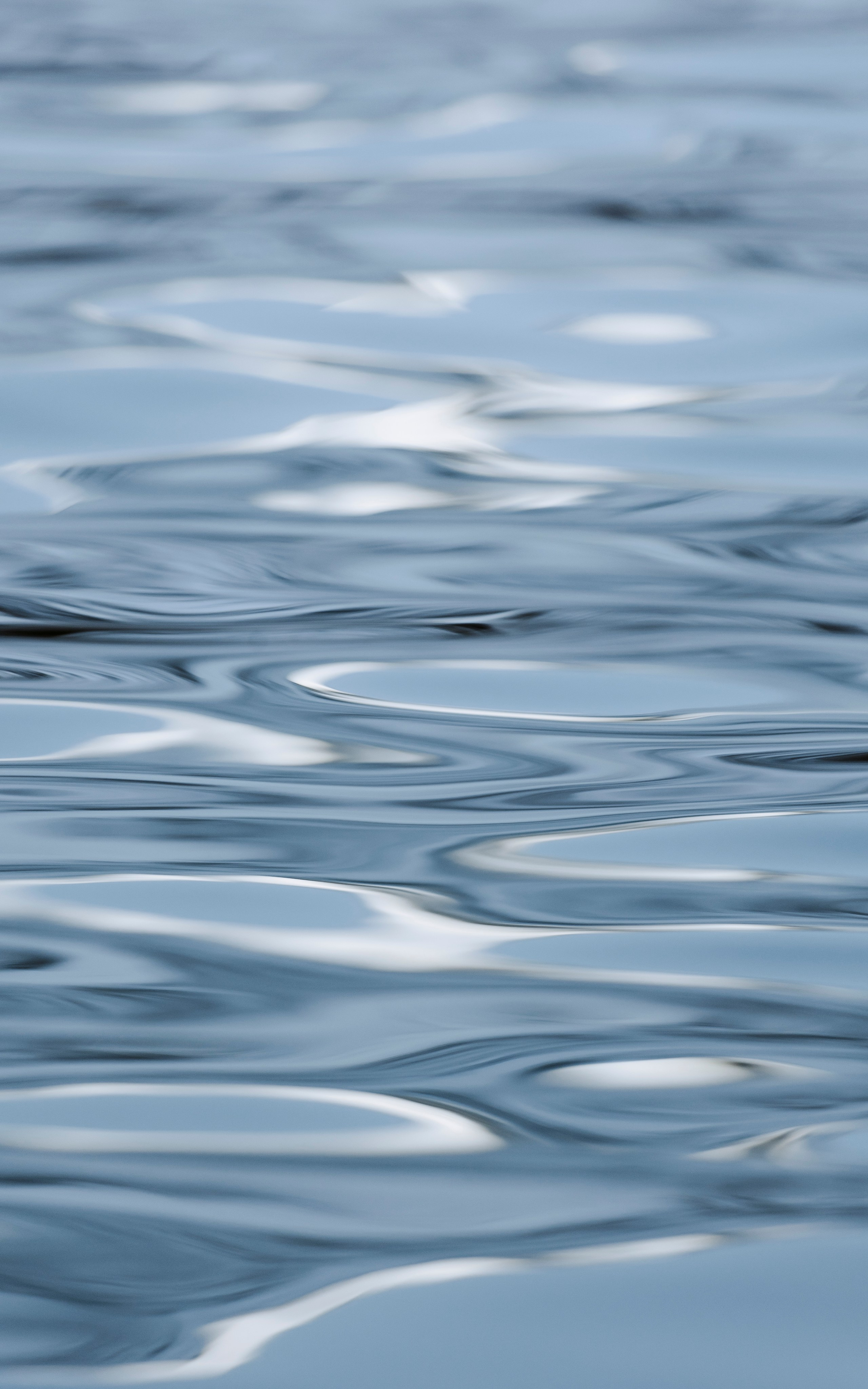 Принты для печати. Фотограф на Камчатке, съемки на природе