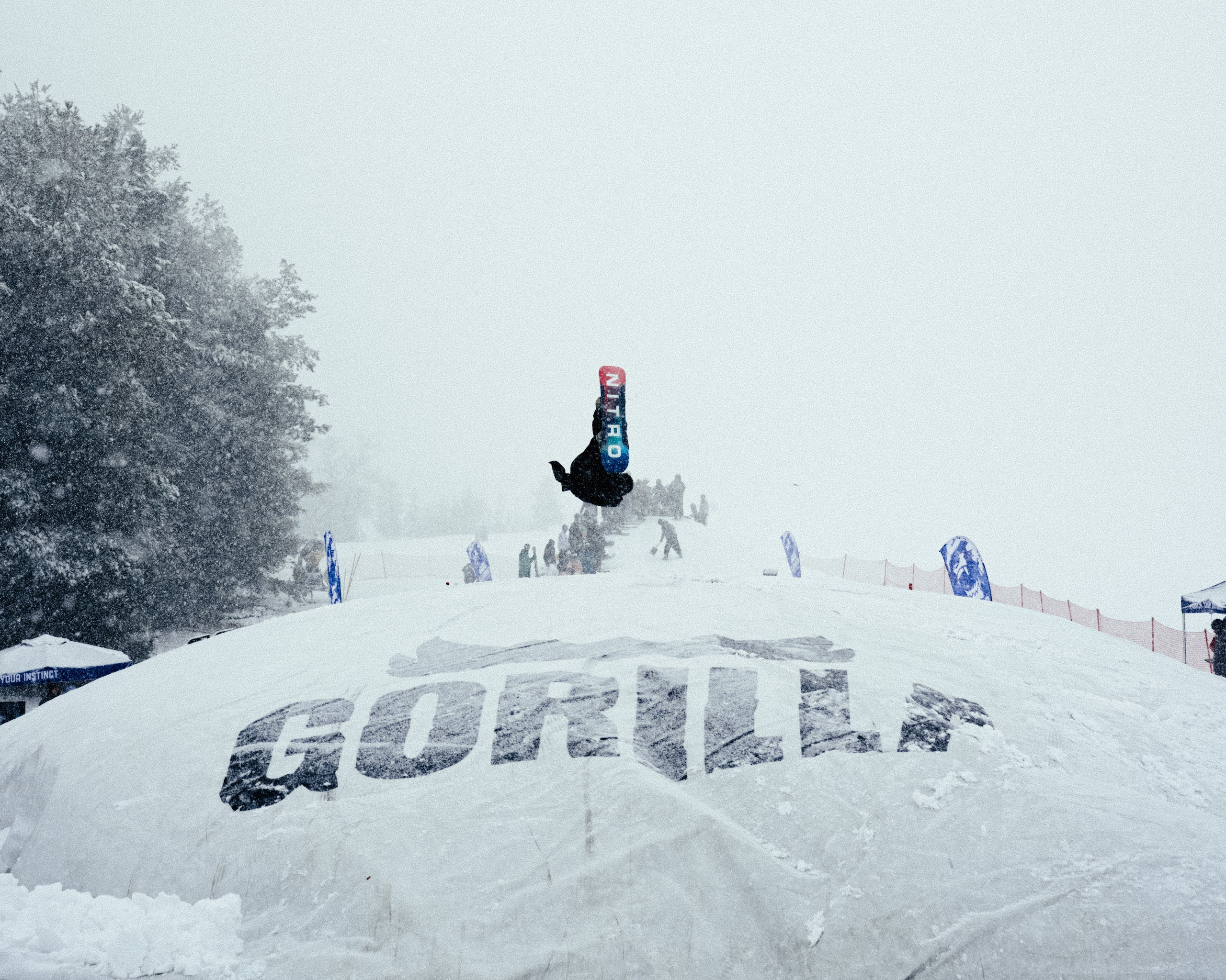 GORILLA IMBA AIR BAG AK-BULAK 21.02.2026. Gorillaenergymedia