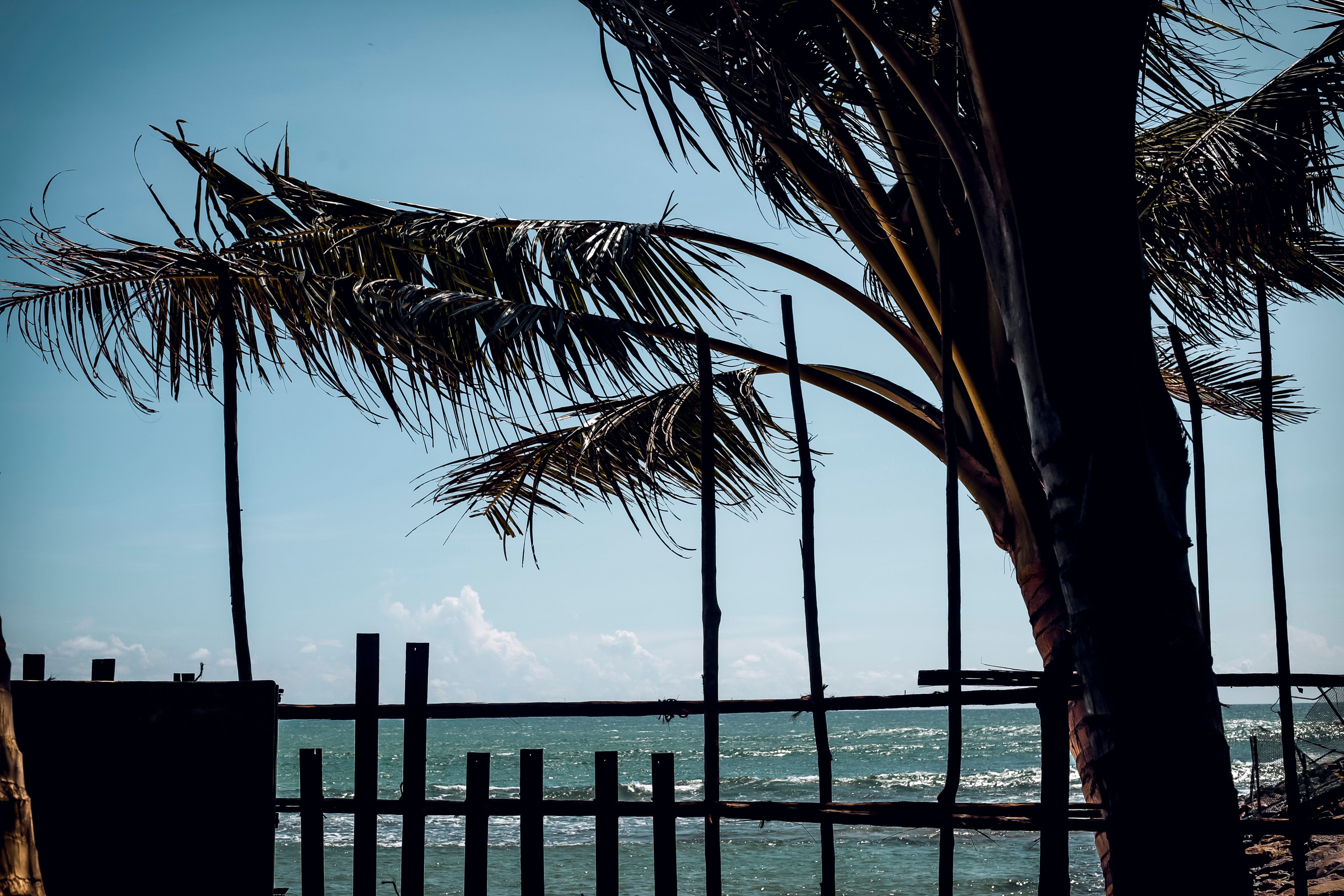 Sri Lanka. Art Photographer