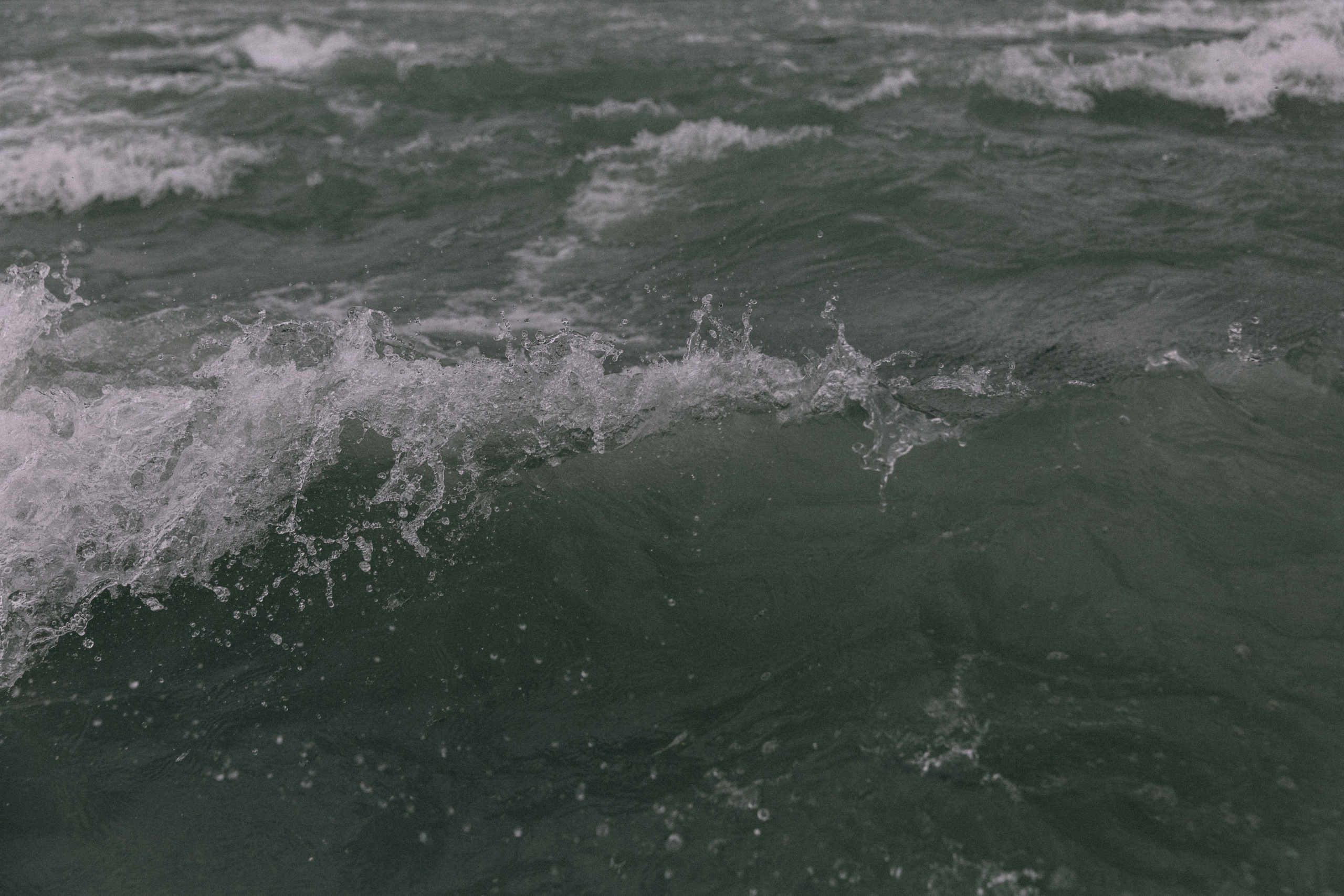 Алтай, природа и эстетика. Александр Чернин. Семейный и событийный фотограф