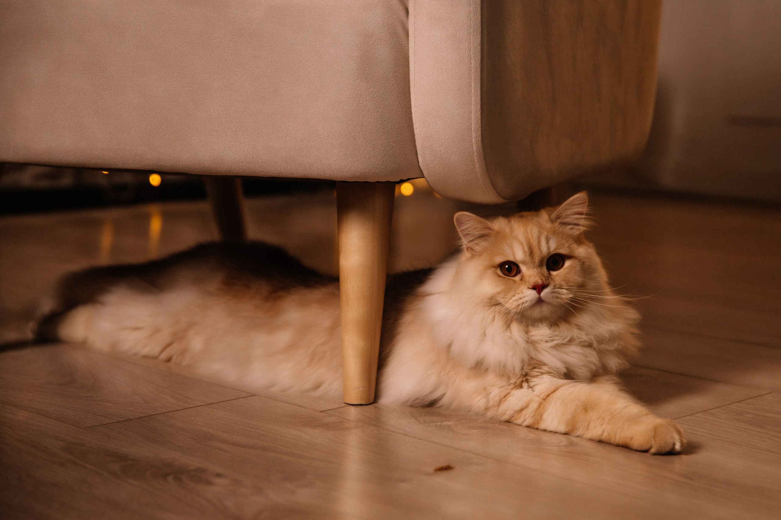 Самое главное — это воспоминания, которые мы создаем с семьей. Алла Пластинина — Фотограф Ижевск