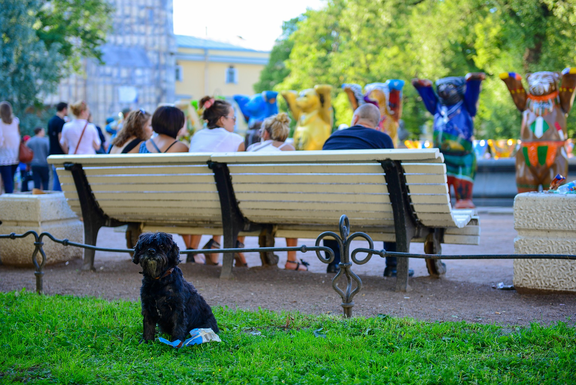 Для СМИ. Фотограф в Калининграде Сулейманов Амирхан