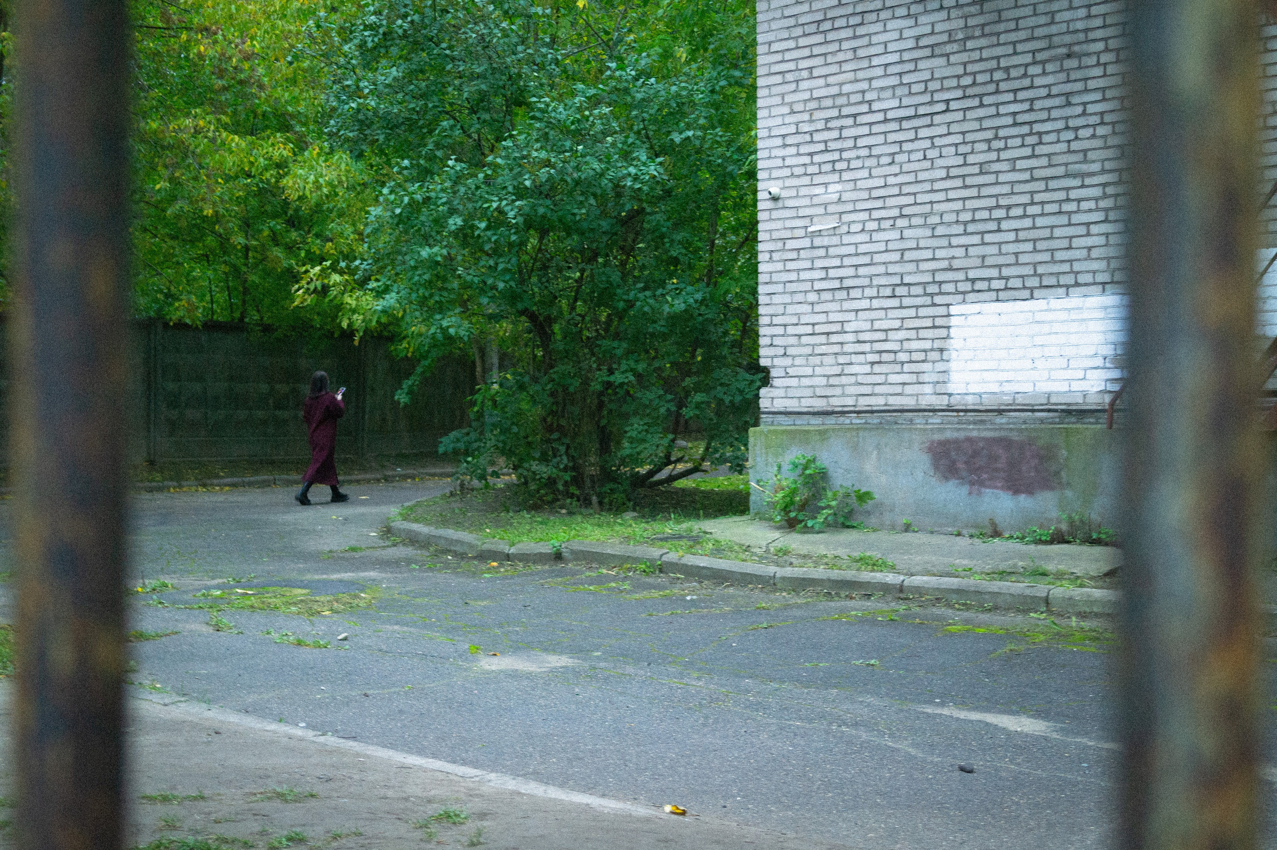 Сентябрь 2025. Den Mirov — Фотограф, Музыкант