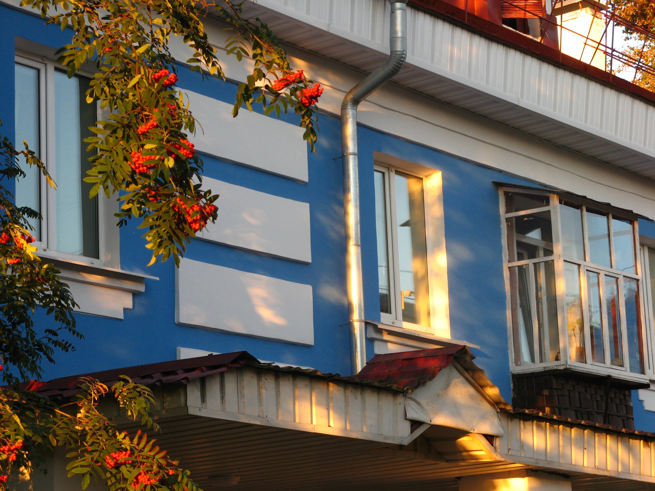 Сентябрь 2025. Den Mirov — Фотограф, Музыкант