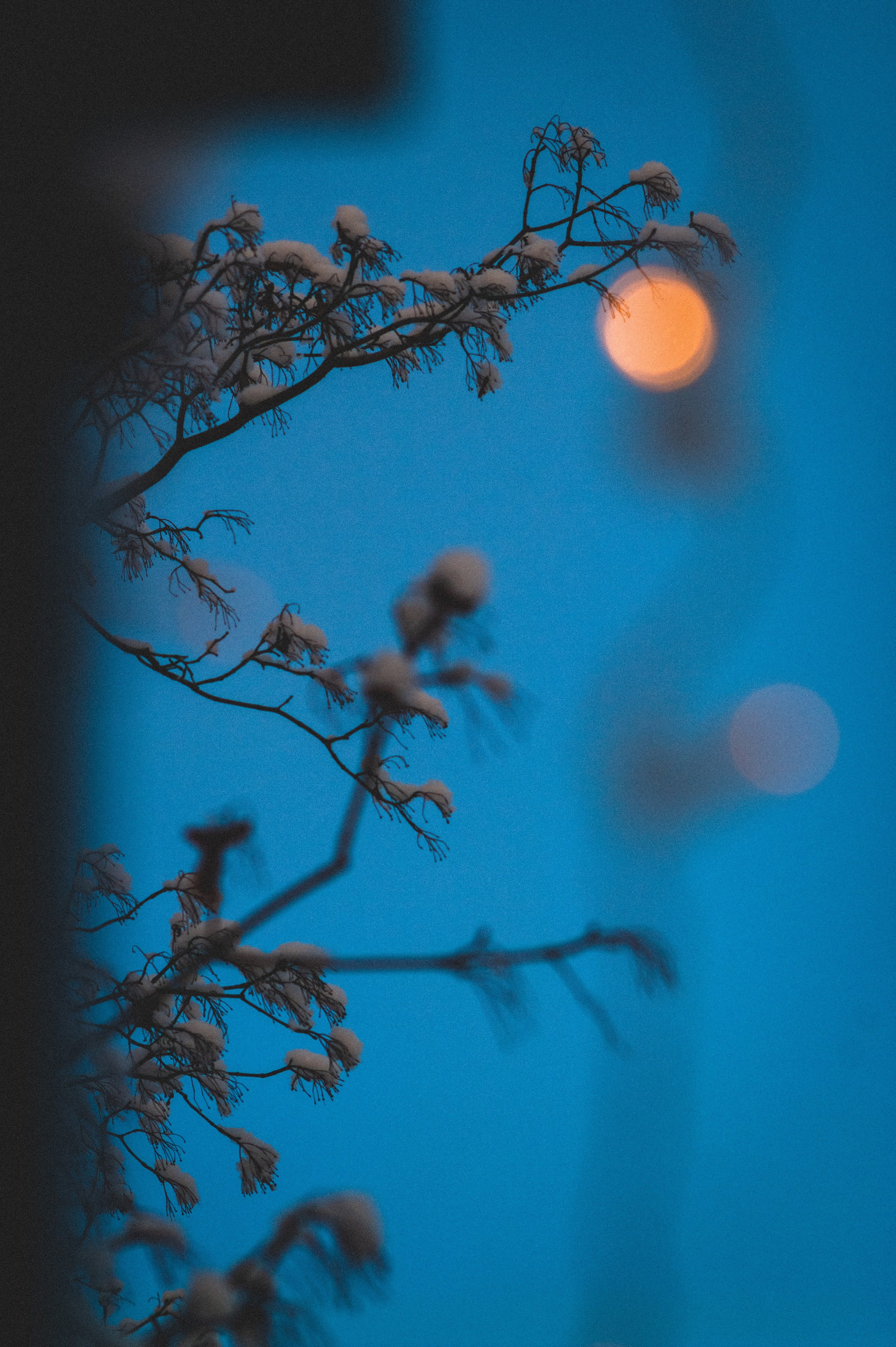 Photos. Den Mirov — Photographer, Musician