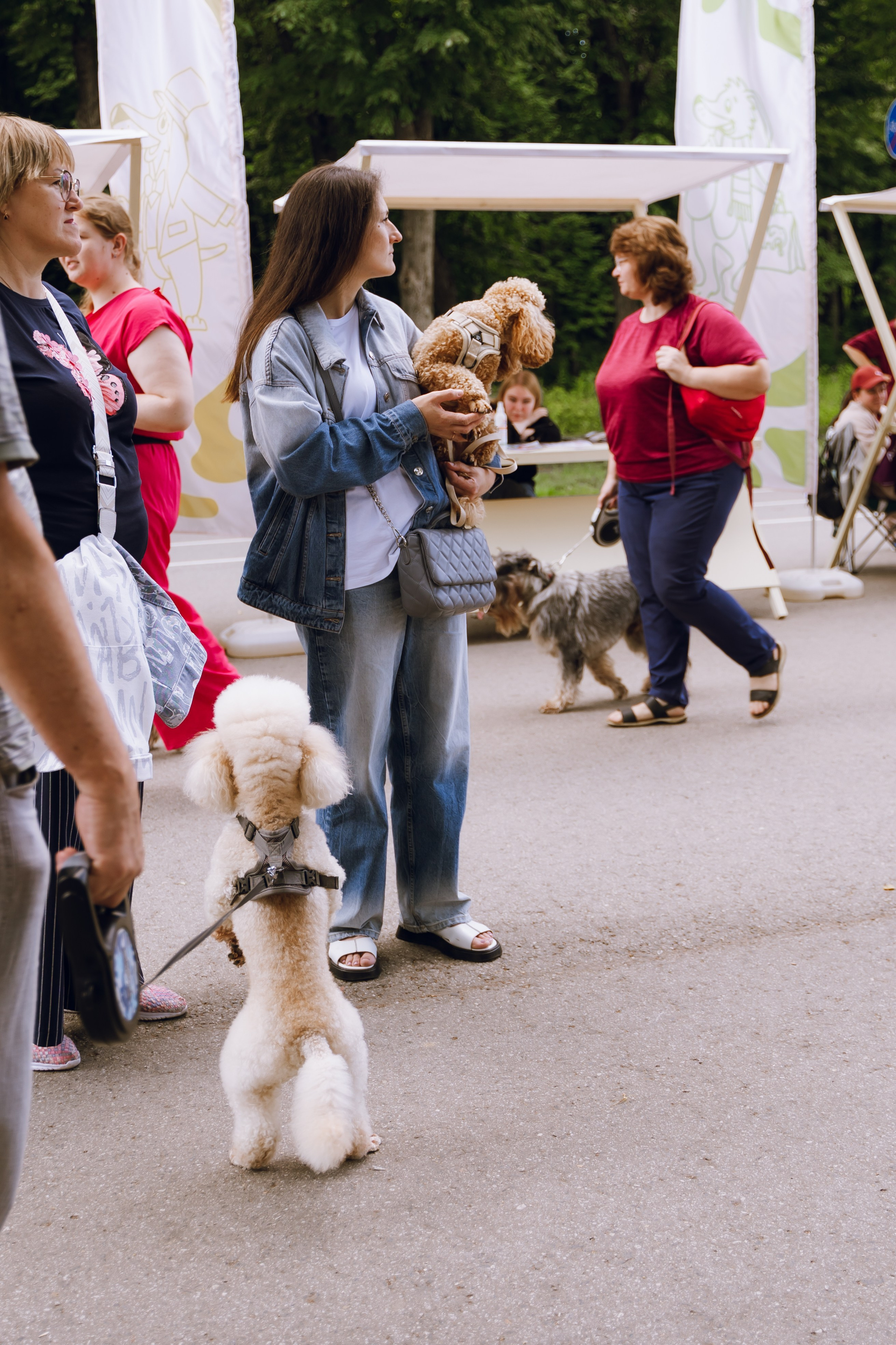 Площадка фестиваля «Мампус и его друзья» в Лесопарке 2025. Фотограф Надежда Погребняк | Рязань | Москва