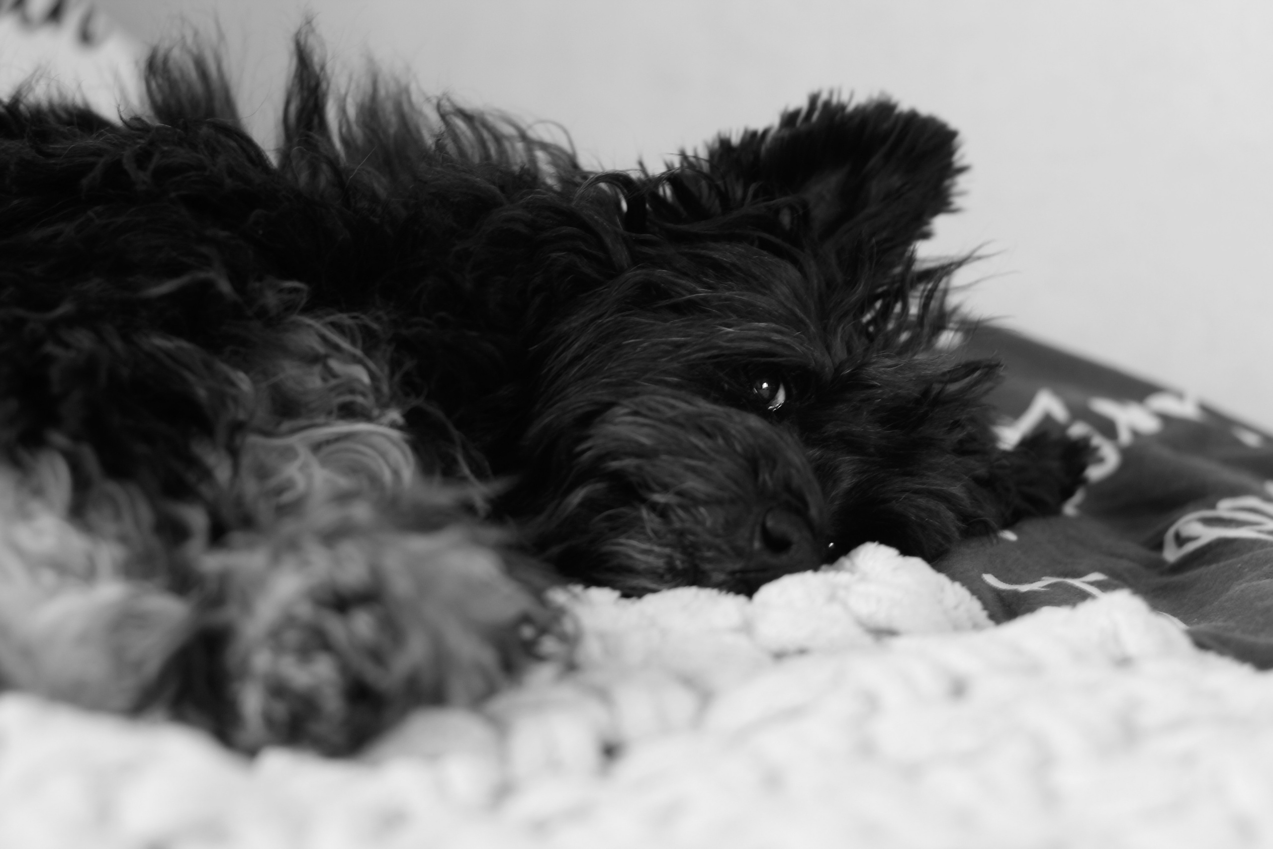 ЧБ. Фотограф Соня с Земли