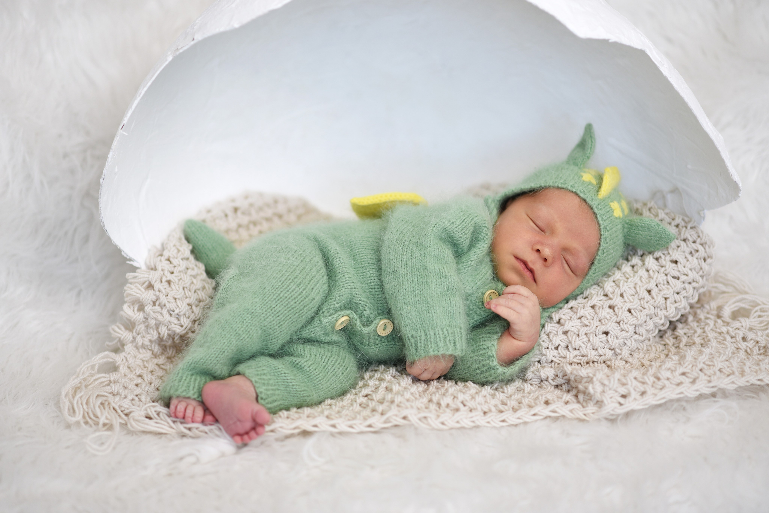 Артем-динозаврик. Семейный, детский и школьный фотограф в Димитровграде Наумова Екатерина