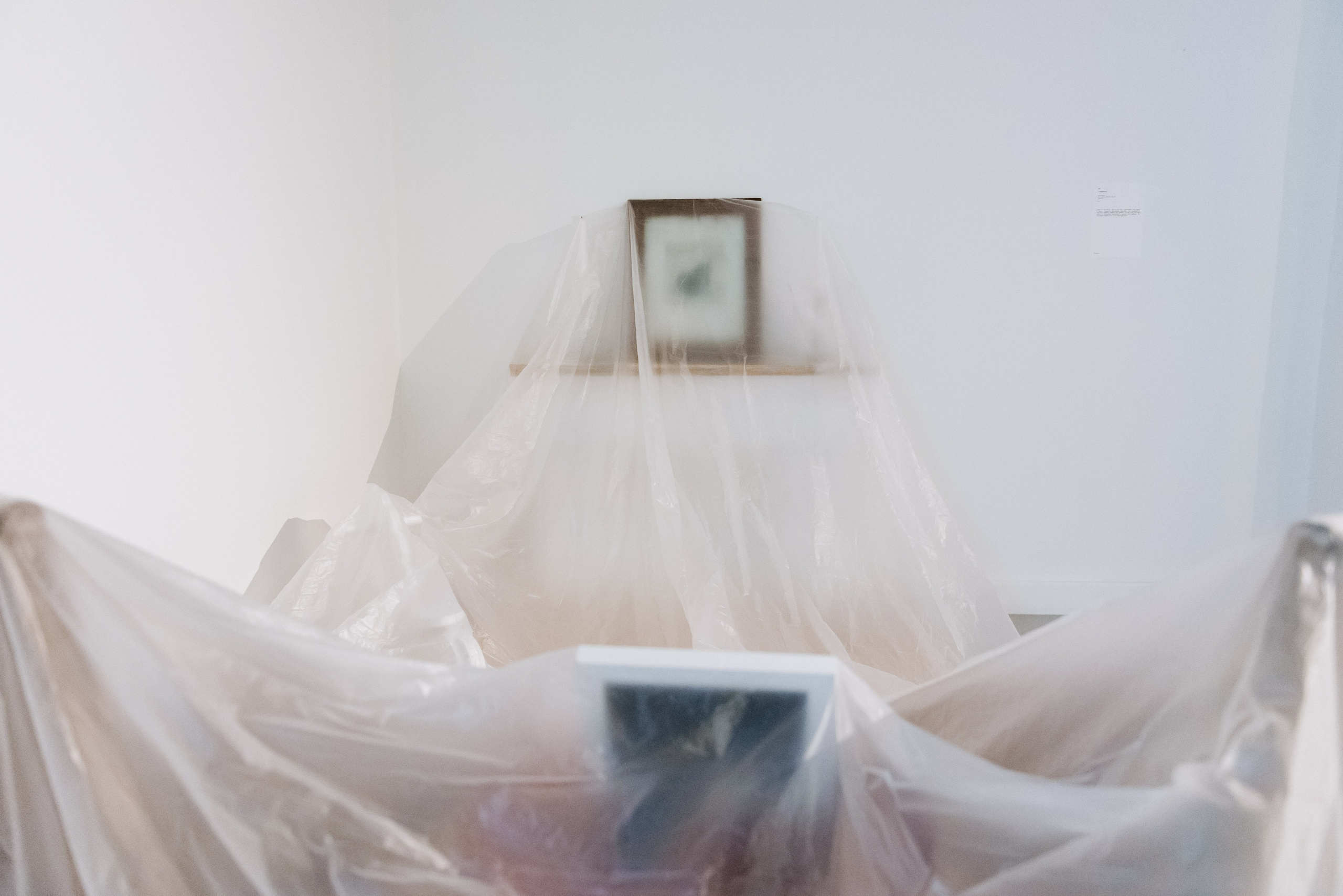 Выставки. Фотограф Руслан Хафизов