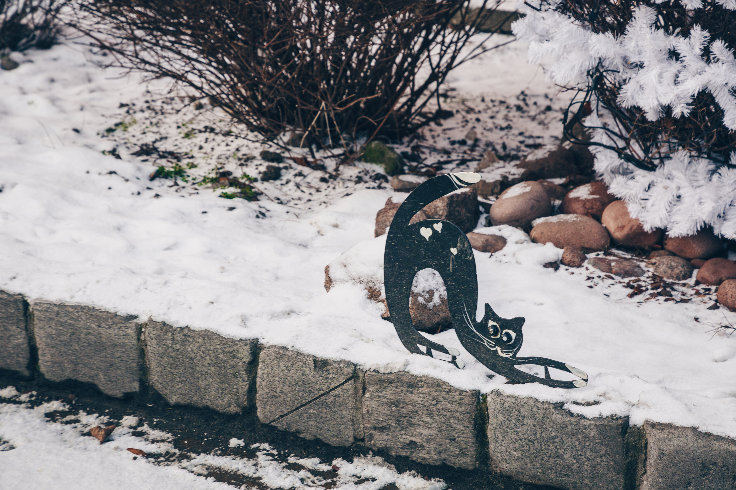 Калининград. Свадебный и семейный фотограф/видеограф в Краснодаре Наталья Осинская