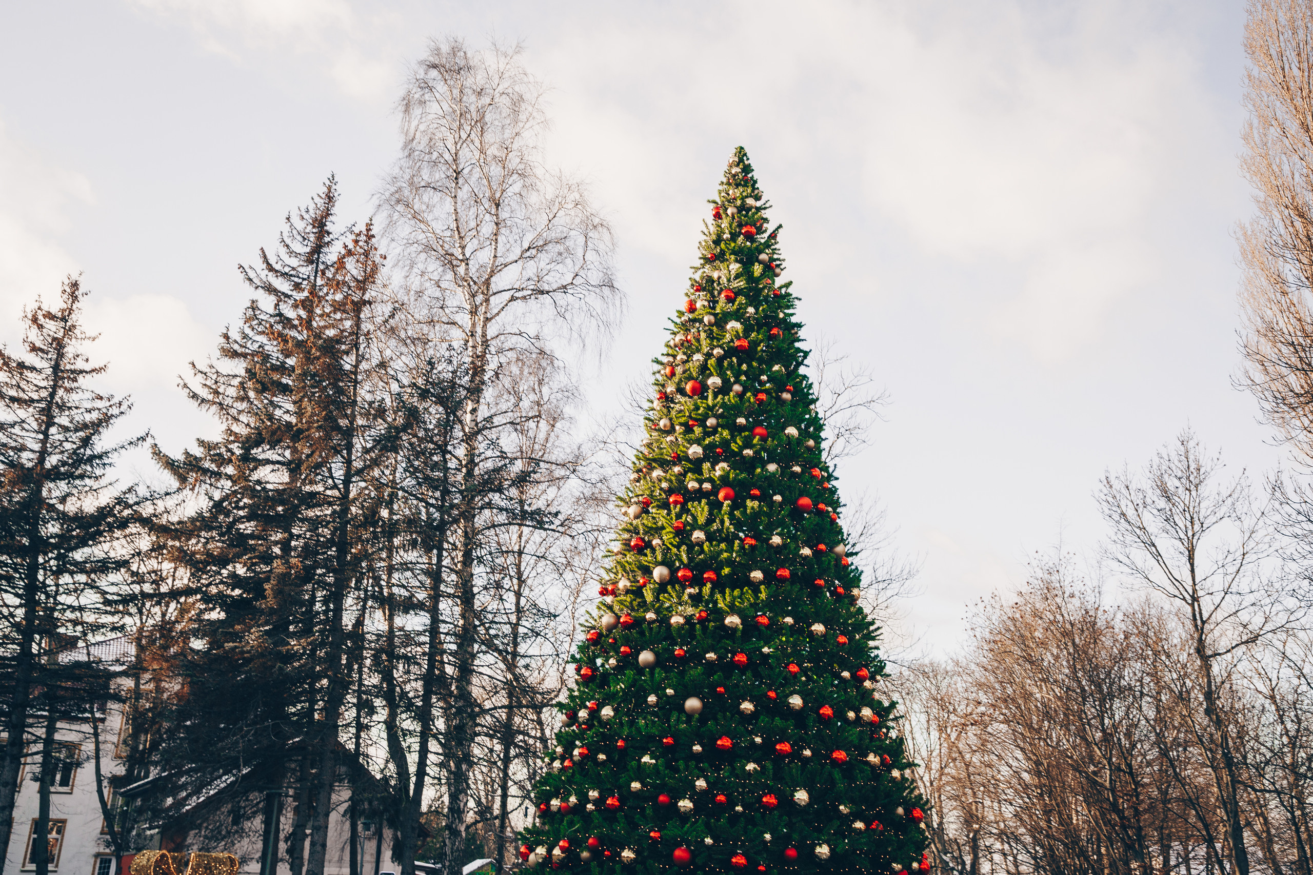 Калининград. Свадебный и семейный фотограф/видеограф в Краснодаре Наталья Осинская