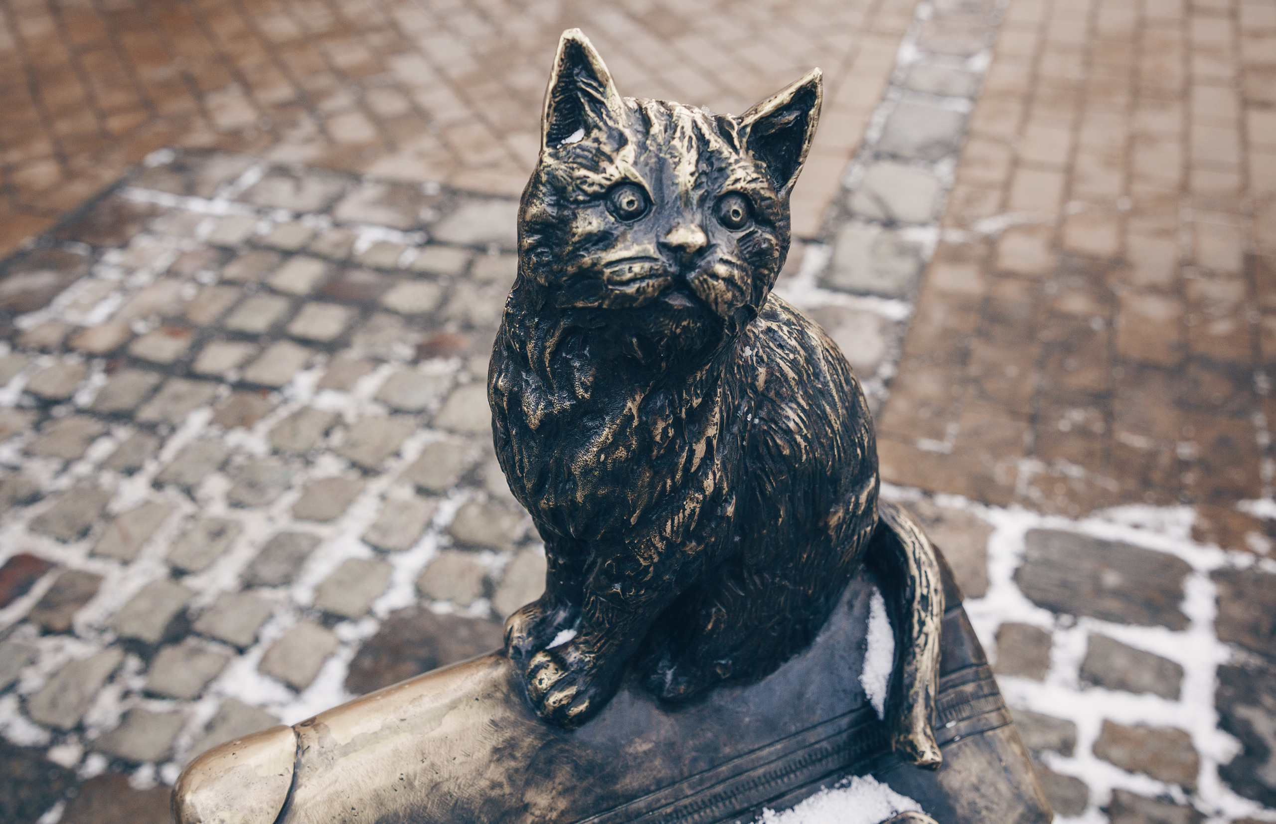 Калининград. Свадебный и семейный фотограф/видеограф в Краснодаре Наталья Осинская