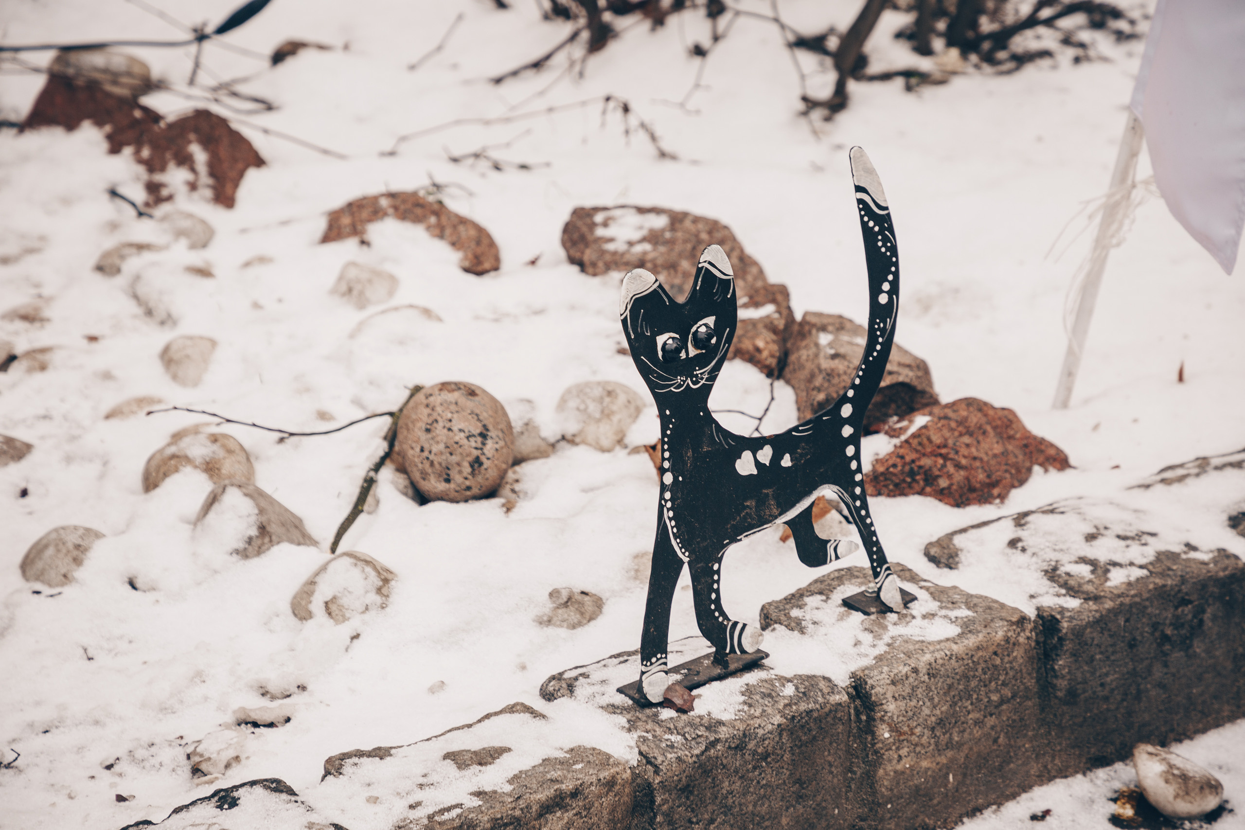 Калининград. Свадебный и семейный фотограф/видеограф в Краснодаре Наталья Осинская