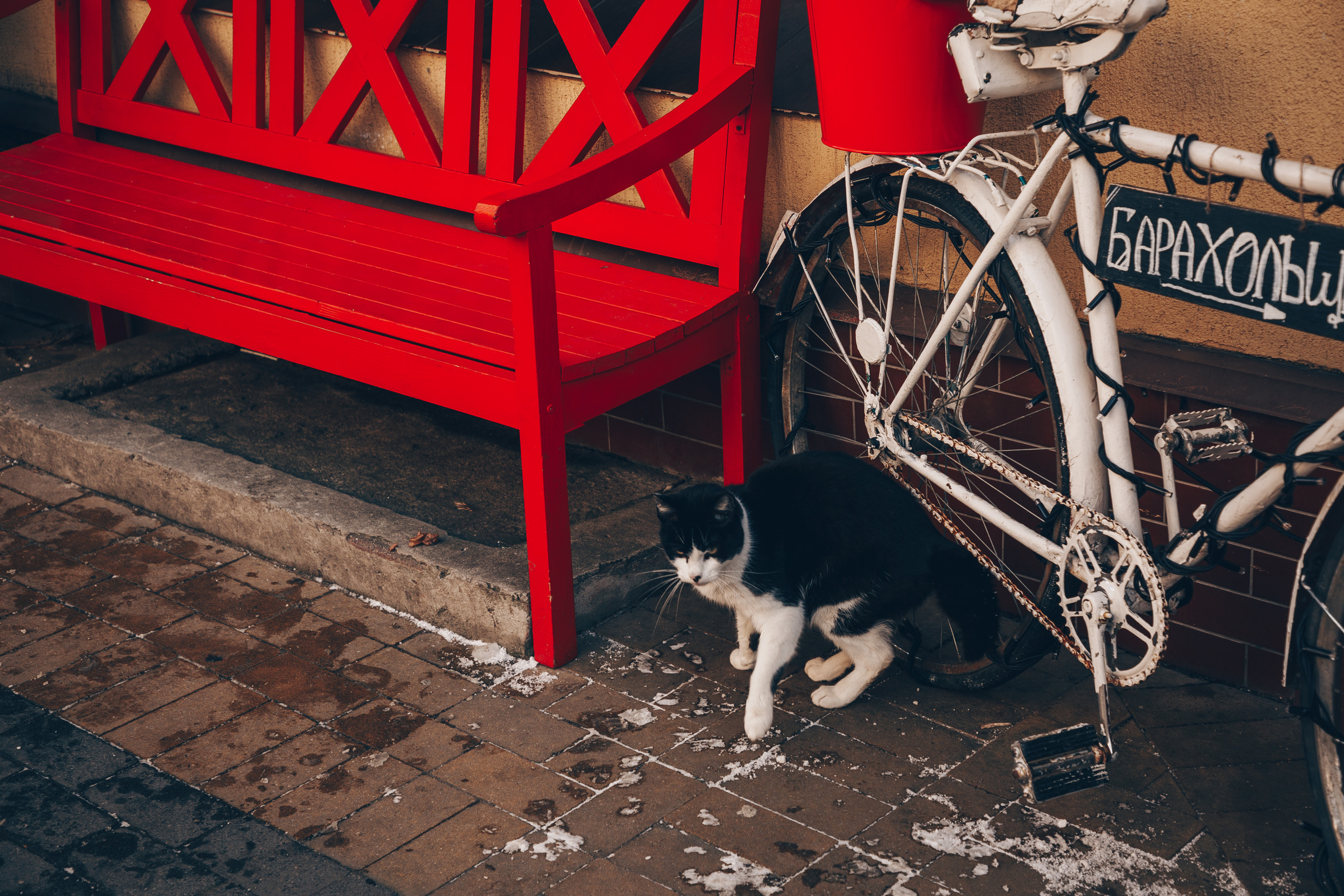 Калининград. Свадебный и семейный фотограф/видеограф в Краснодаре Наталья Осинская