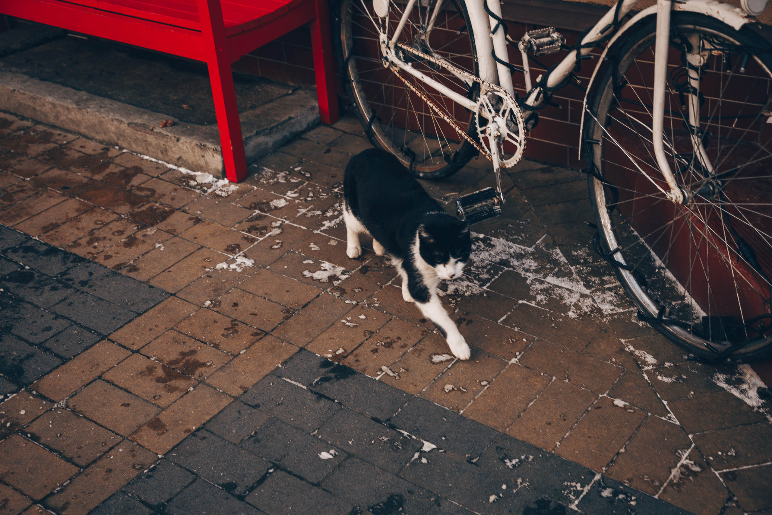 Калининград. Свадебный и семейный фотограф/видеограф в Краснодаре Наталья Осинская