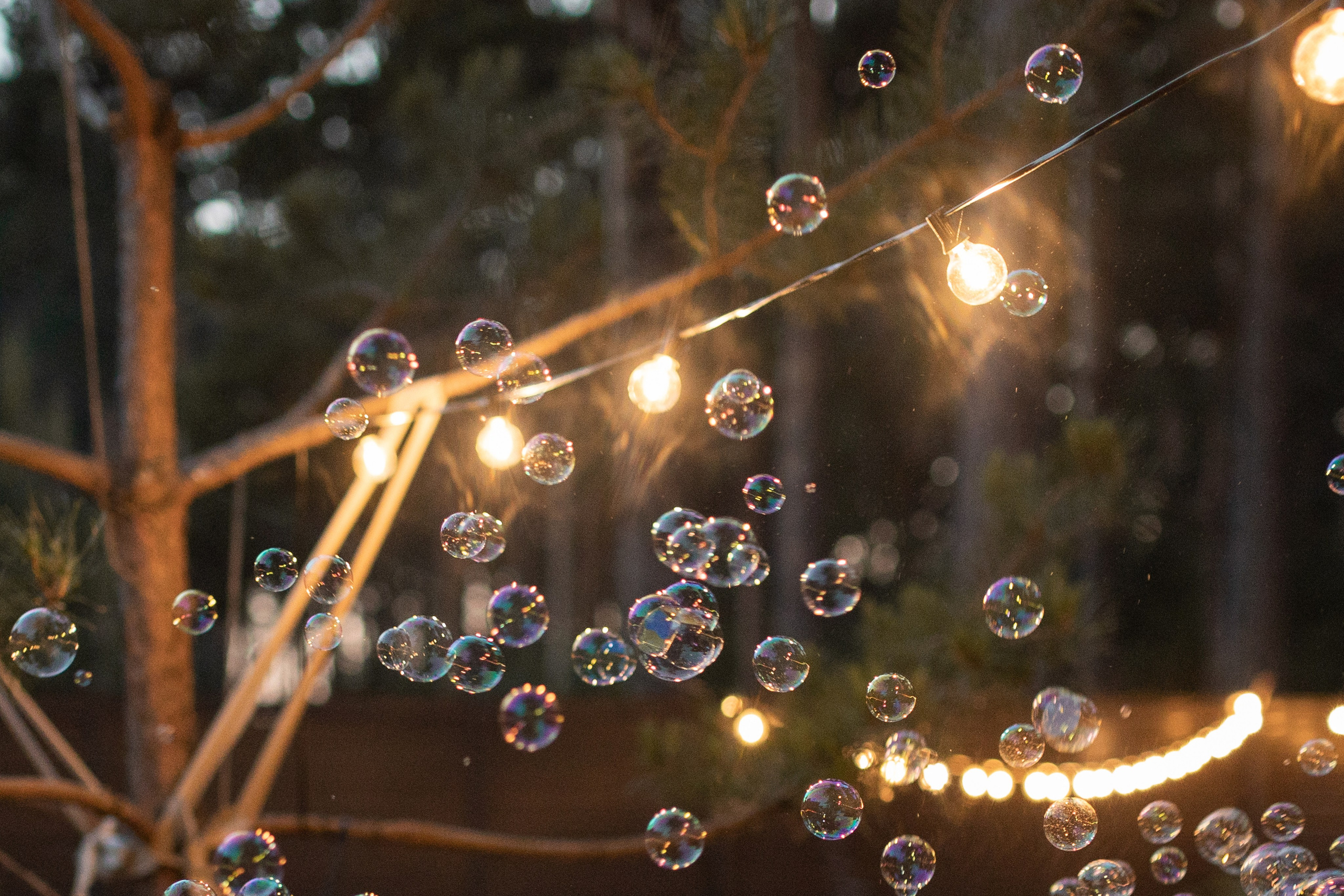Ильдар и Евгения (полный день). Свадебный фотограф Екатерина Черкасская