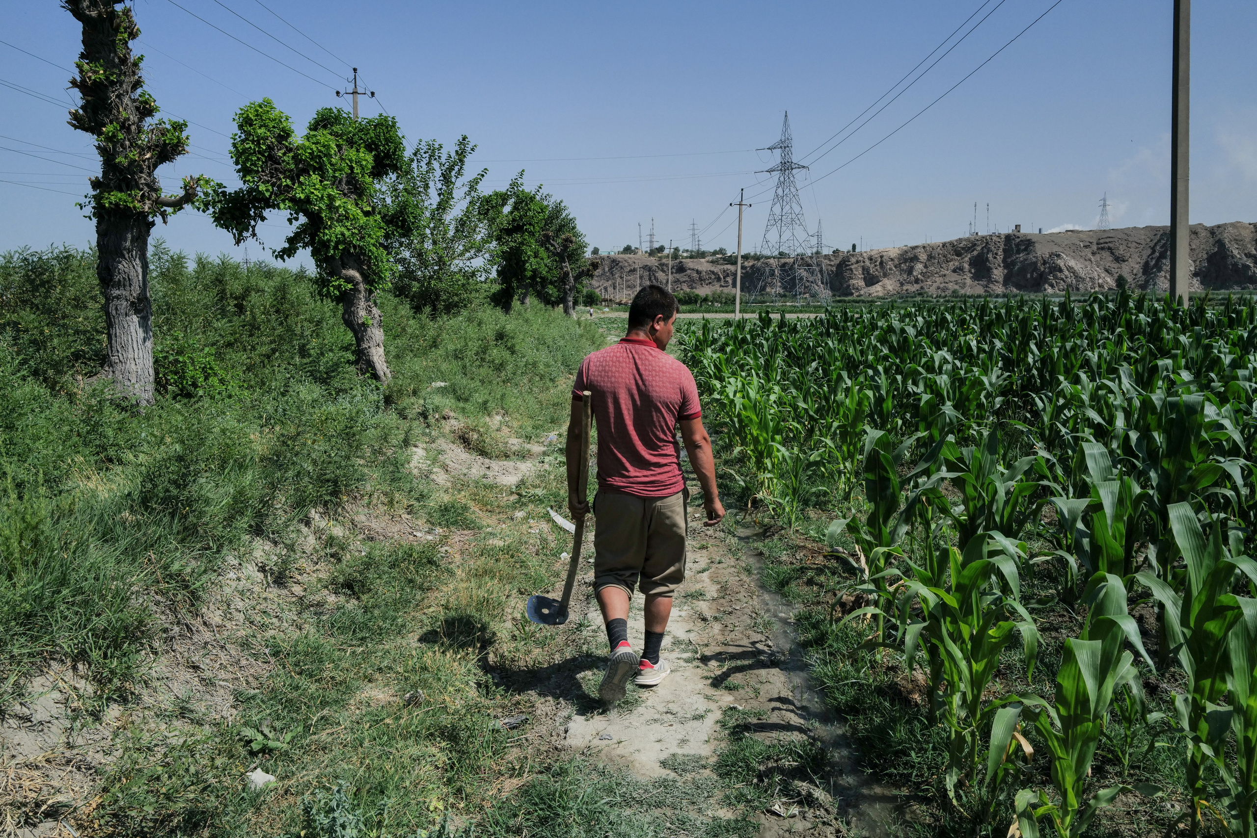 Syrdarya: water and people. Petr Trotsenko documentary photographer