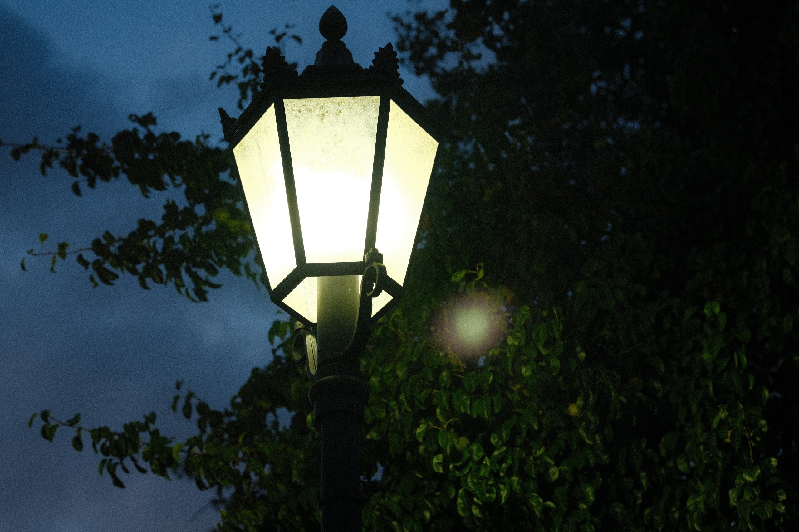 Вечером в Коломенском. Фотограф в Москве Максим Скоробогатов