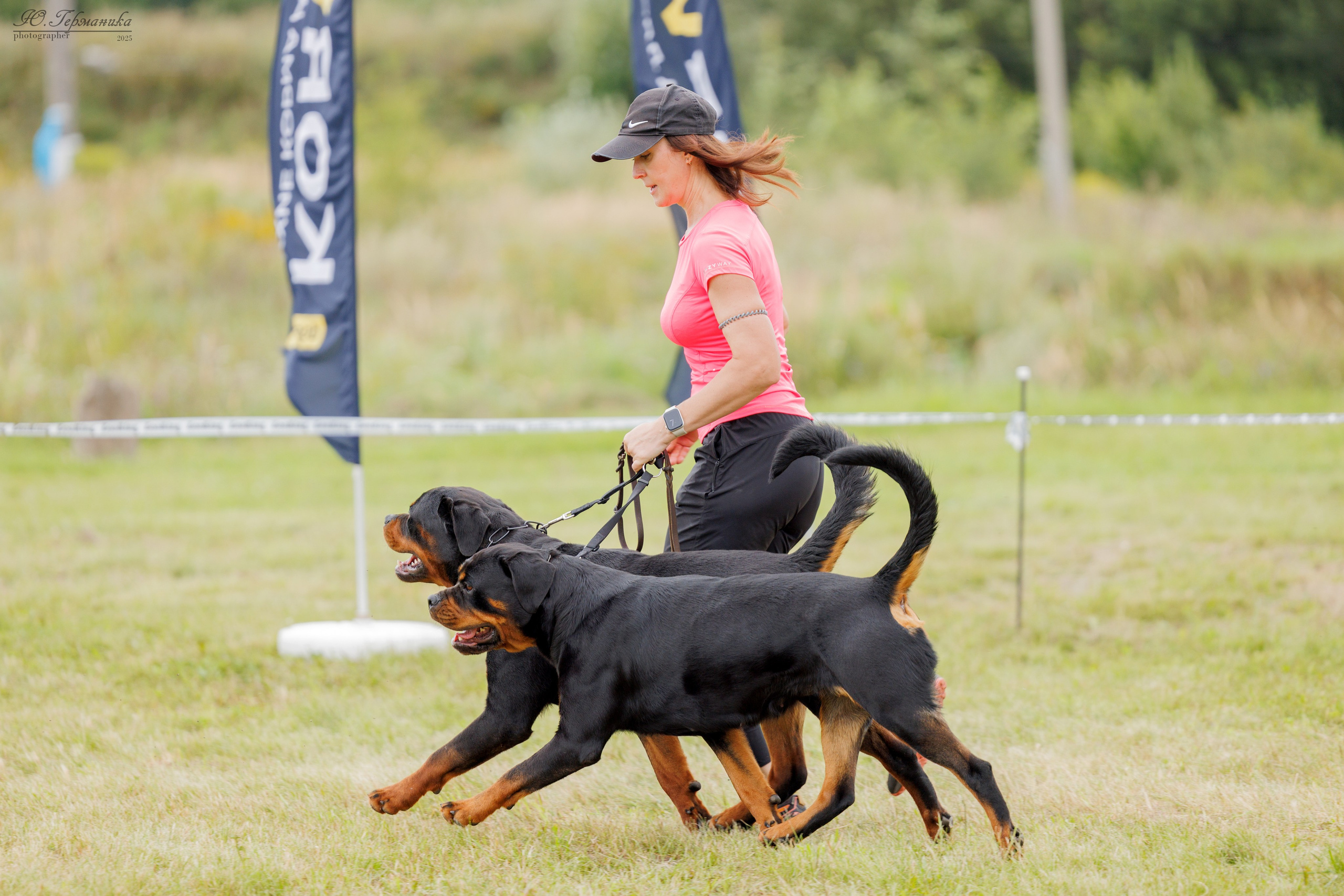 Рязань 2хмоно ротвейлеры 16-17.08.2025. Фотограф-анималист Юлия Германика