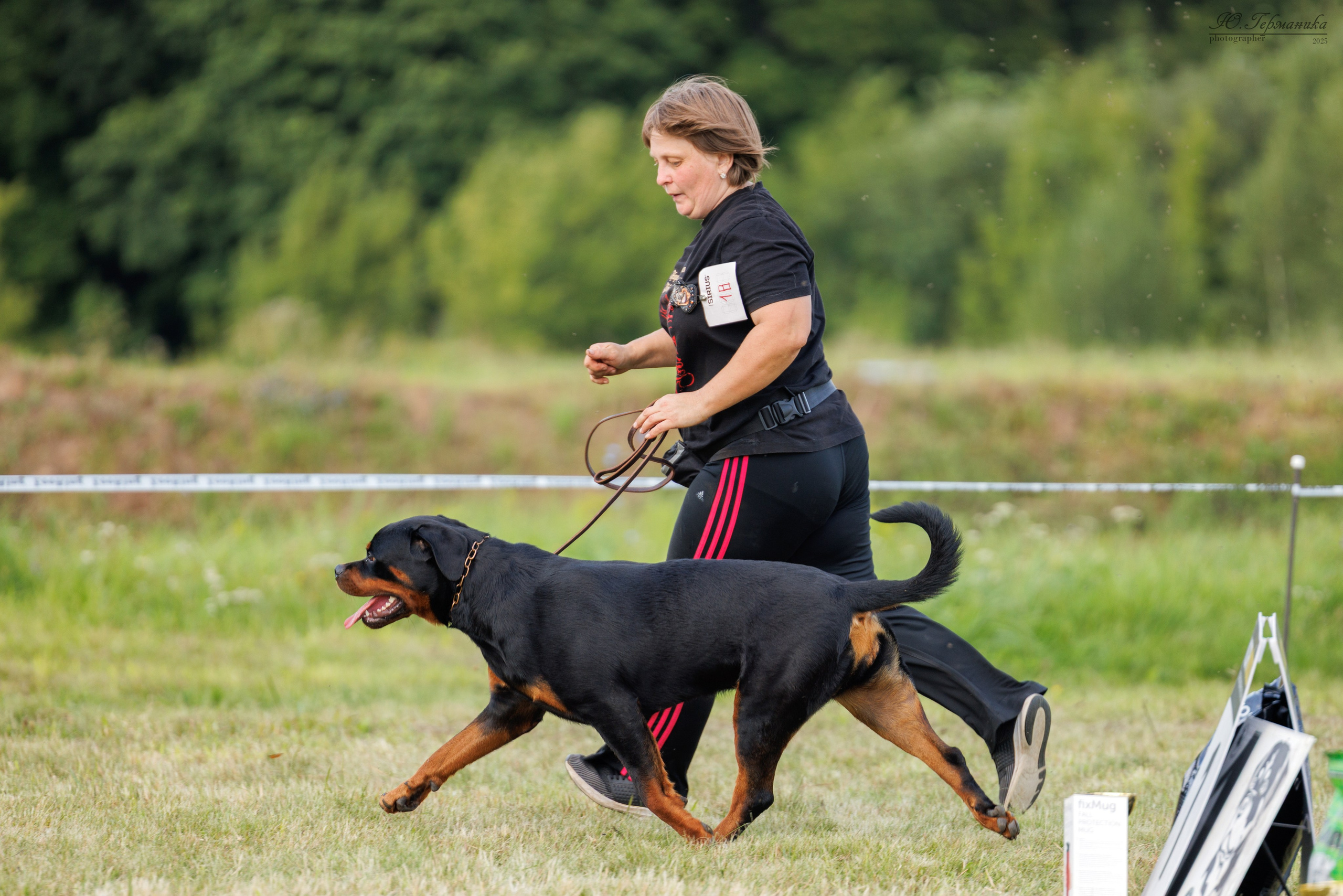 Рязань 2хмоно ротвейлеры 16-17.08.2025. Фотограф-анималист Юлия Германика