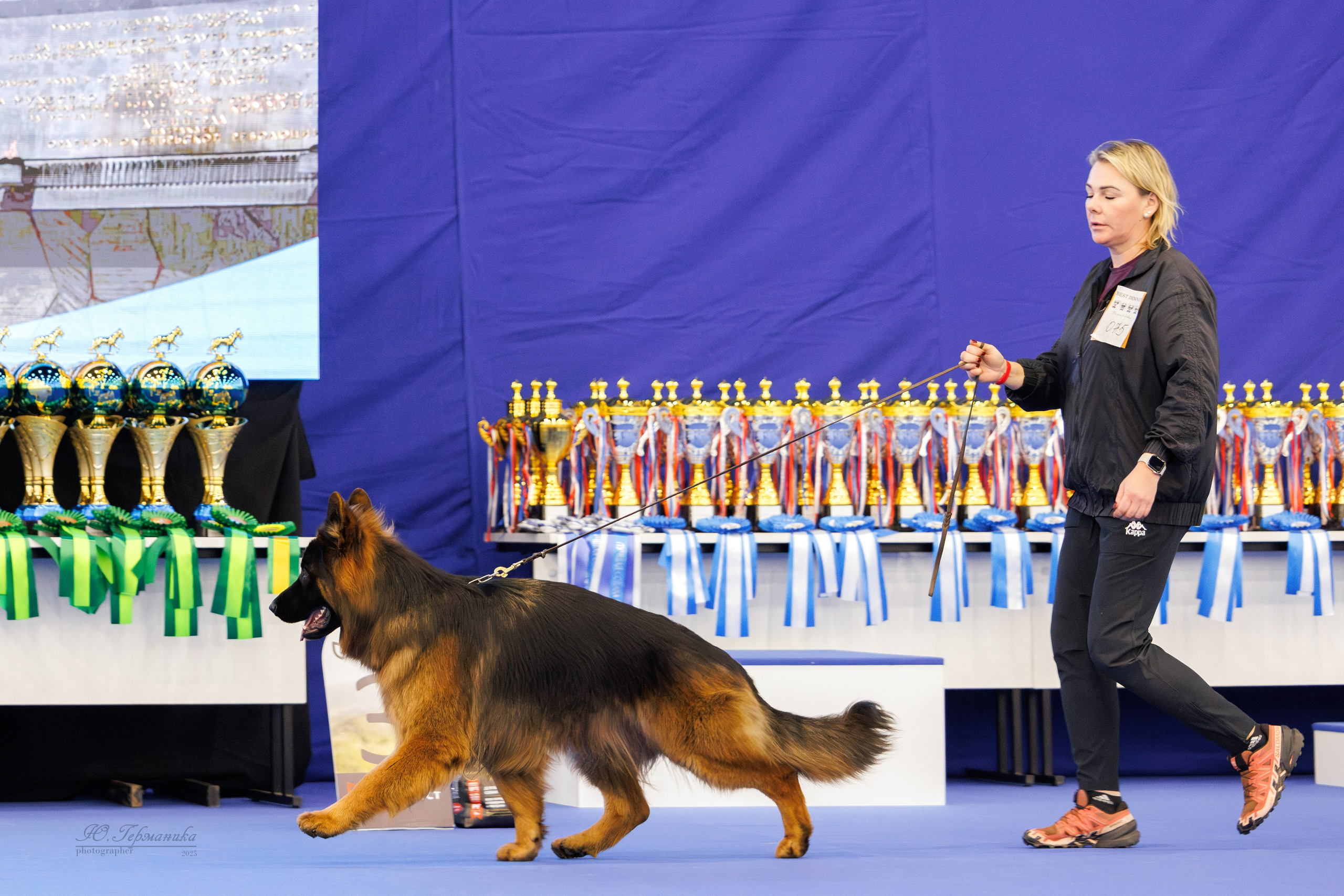 Питер 12-13.12.2025. Фотограф-анималист Юлия Германика