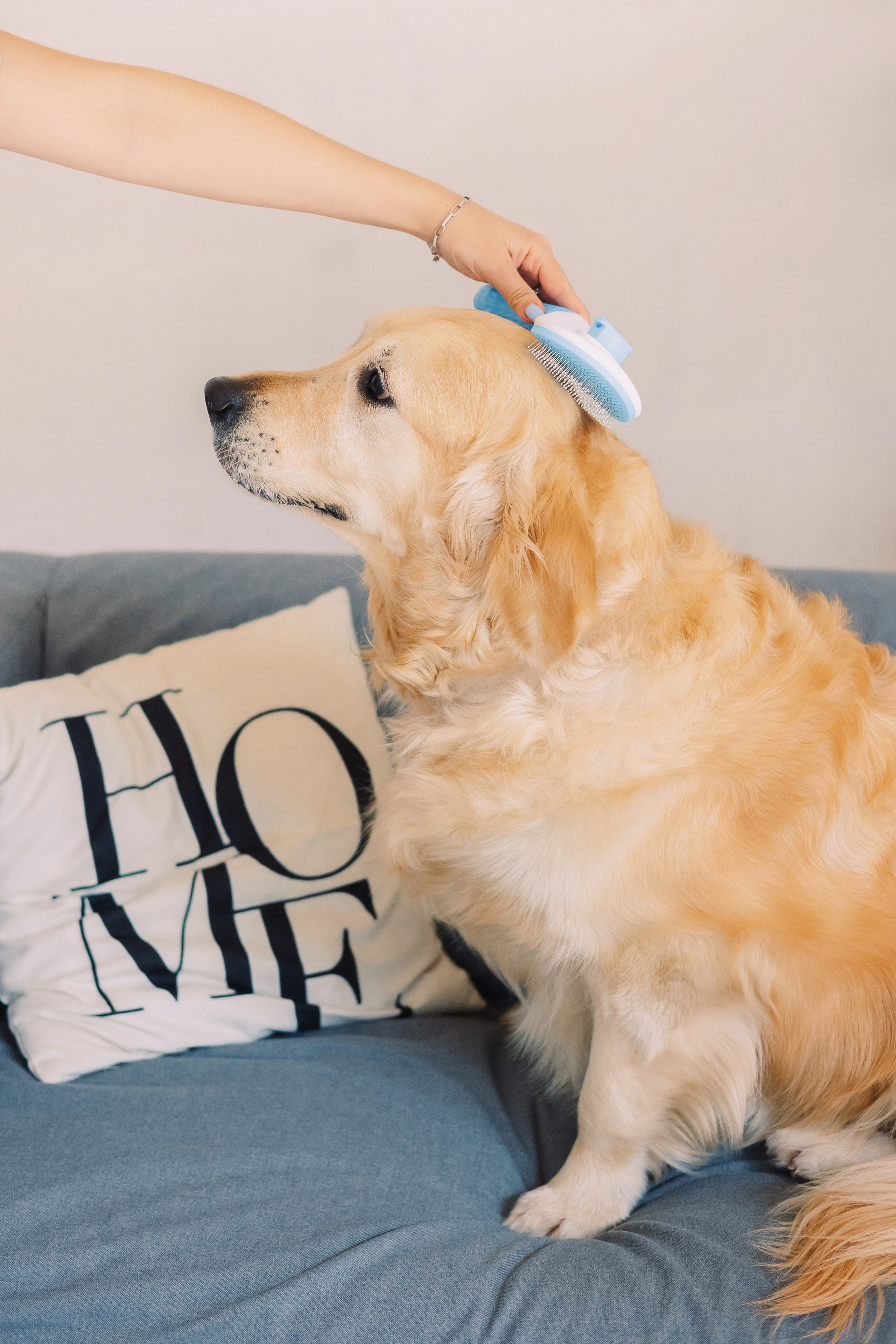 Магазин Friend of mine. Фотограф-анималист Елена Радченко, Москва