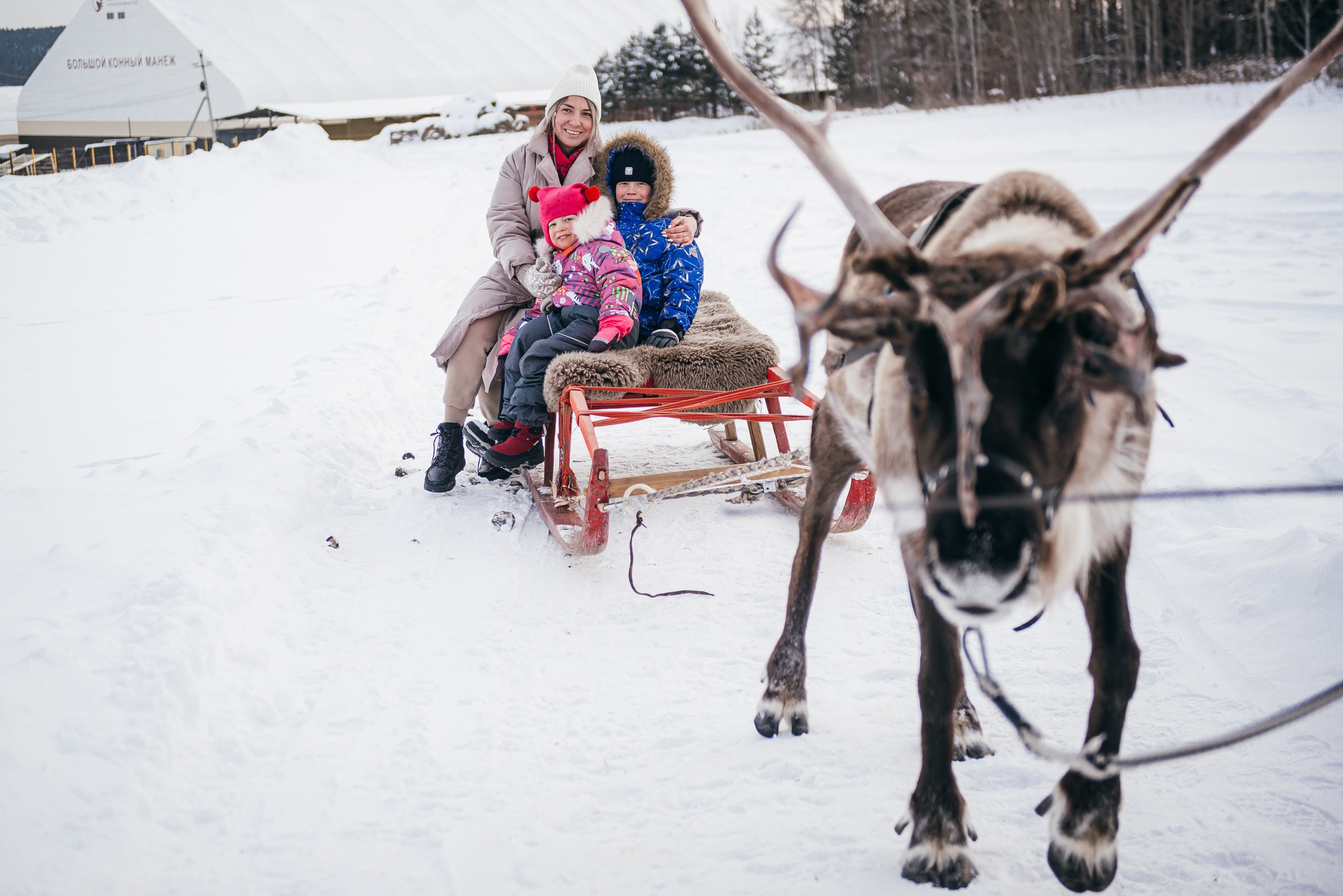 Репортажный фотограф в Екатеринбурге Ирина Смирнова. Профессиональный фотограф в Екатеринбурге Ирина Смирнова