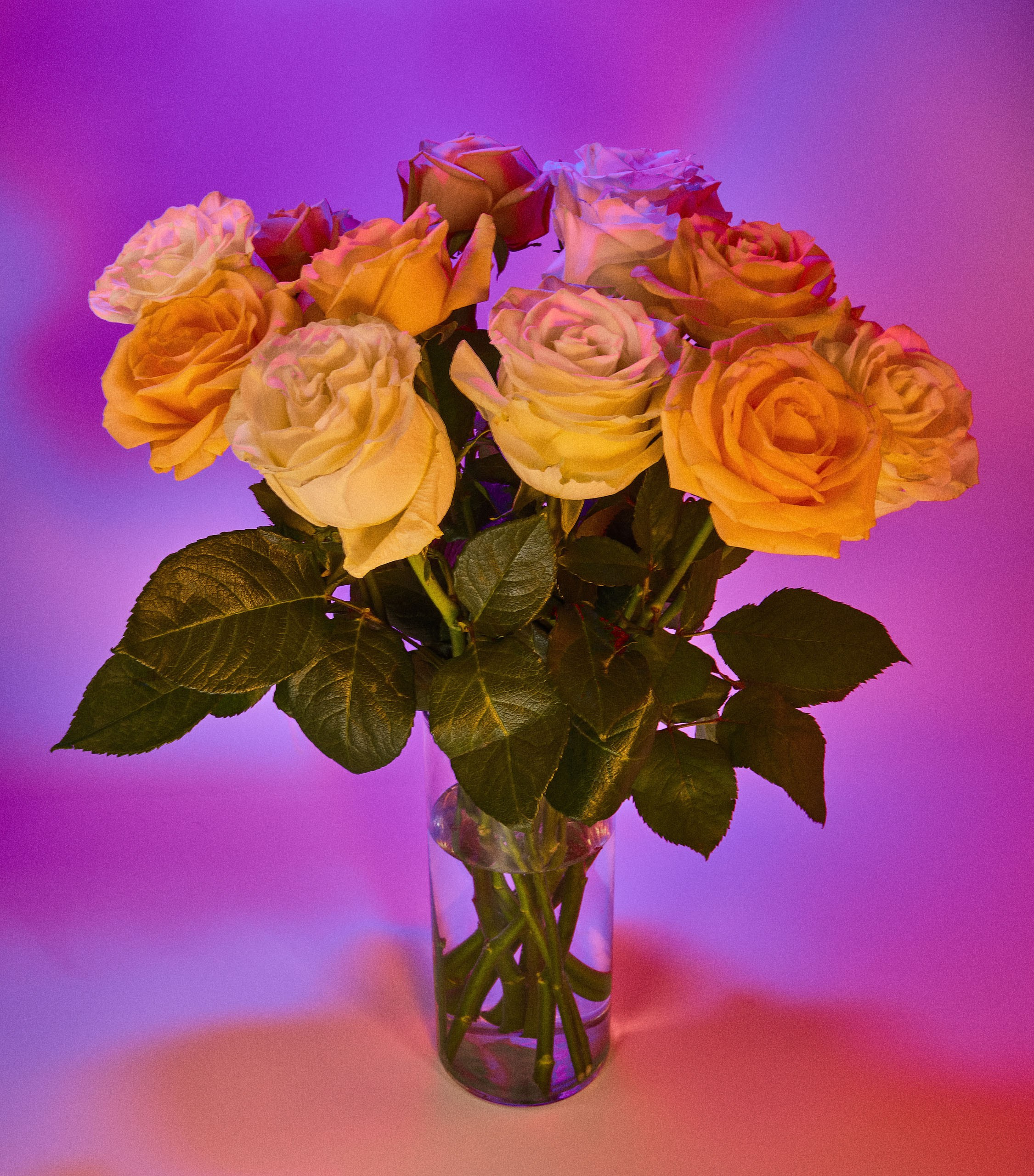 Фотоальбом с разными съёмками