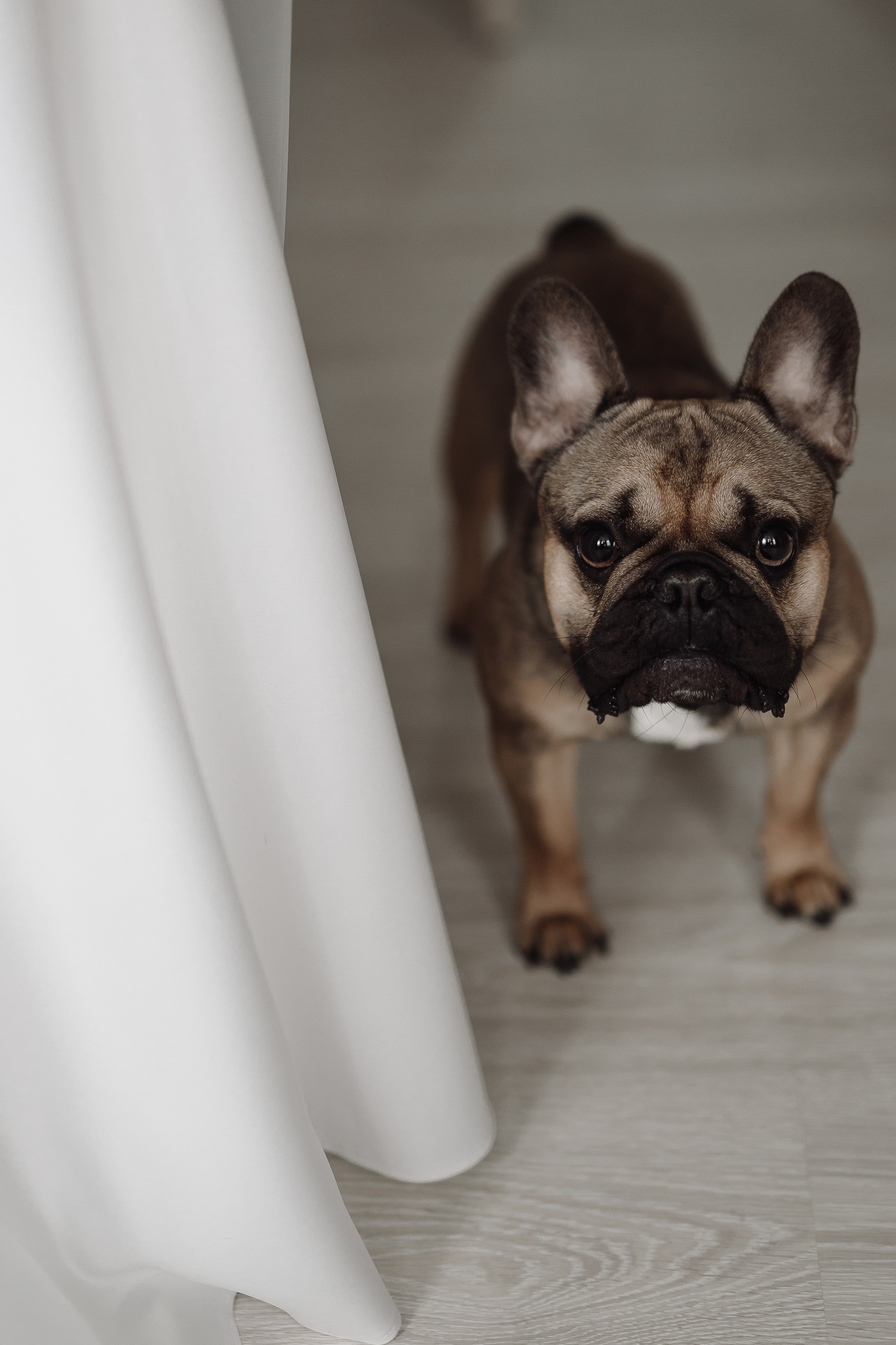 Свадьба Вадима и Дарьи. Фотограф Кольчугино/Владимир/Москва Елизавета Иода