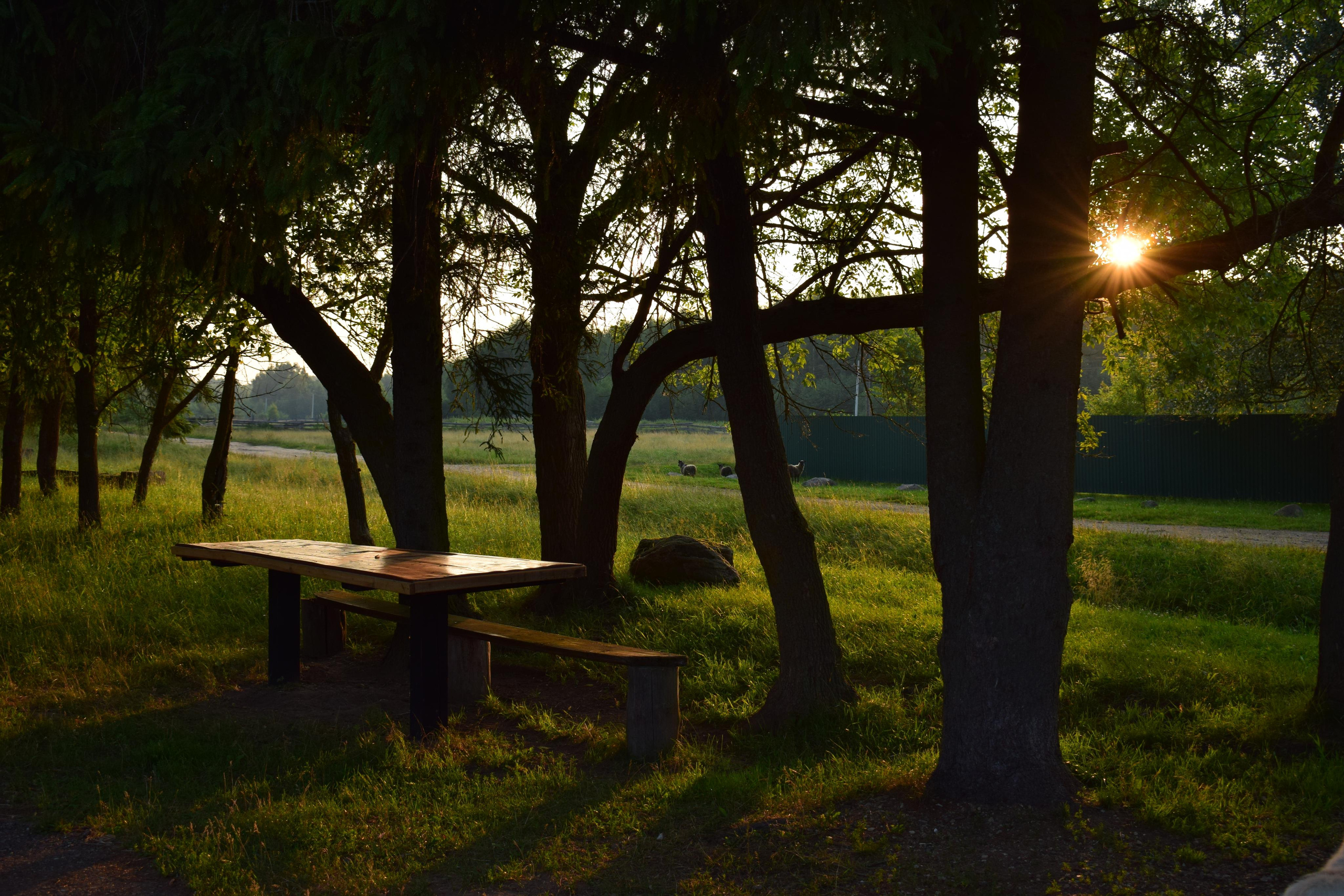 Природные пейзажи. «Фотографии в журналах: максимум жизнеподобия, минимум жизни. "