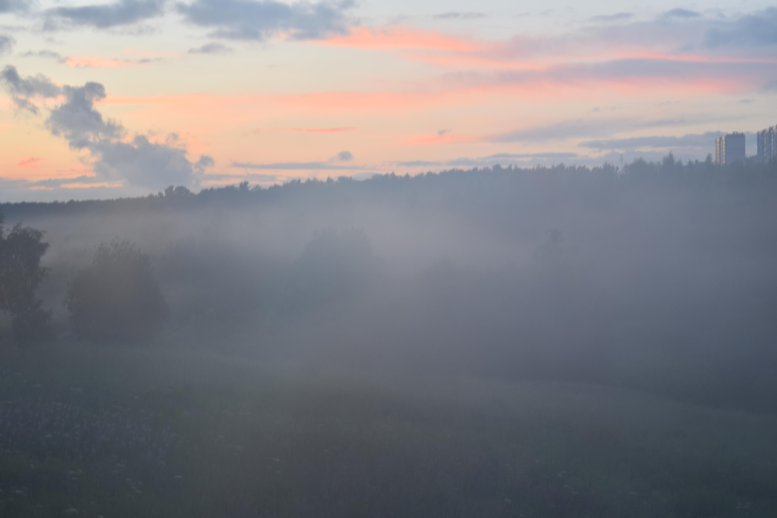 Природные пейзажи. «Фотографии в журналах: максимум жизнеподобия, минимум жизни. "