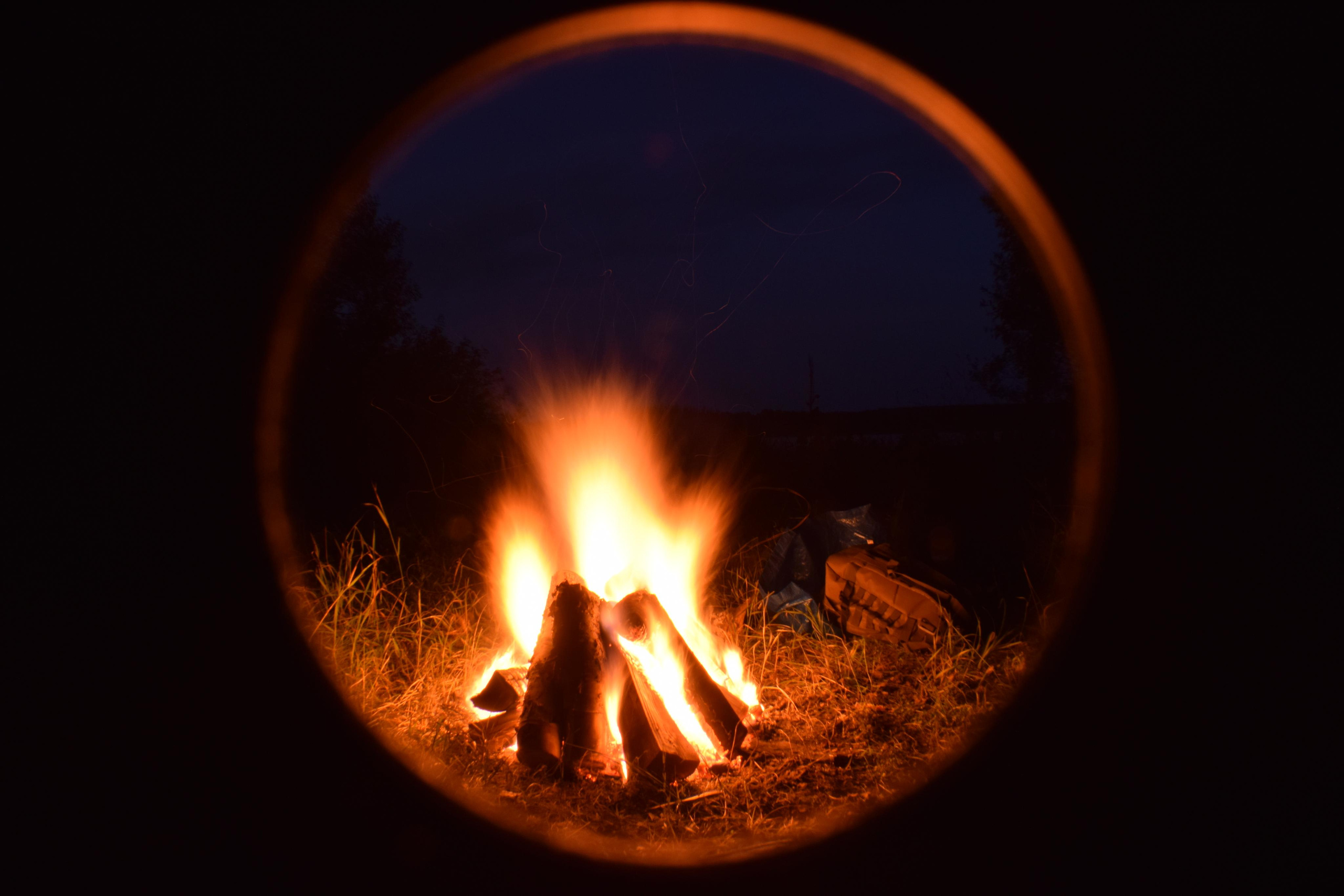 Природные пейзажи. «Фотографии в журналах: максимум жизнеподобия, минимум жизни. "