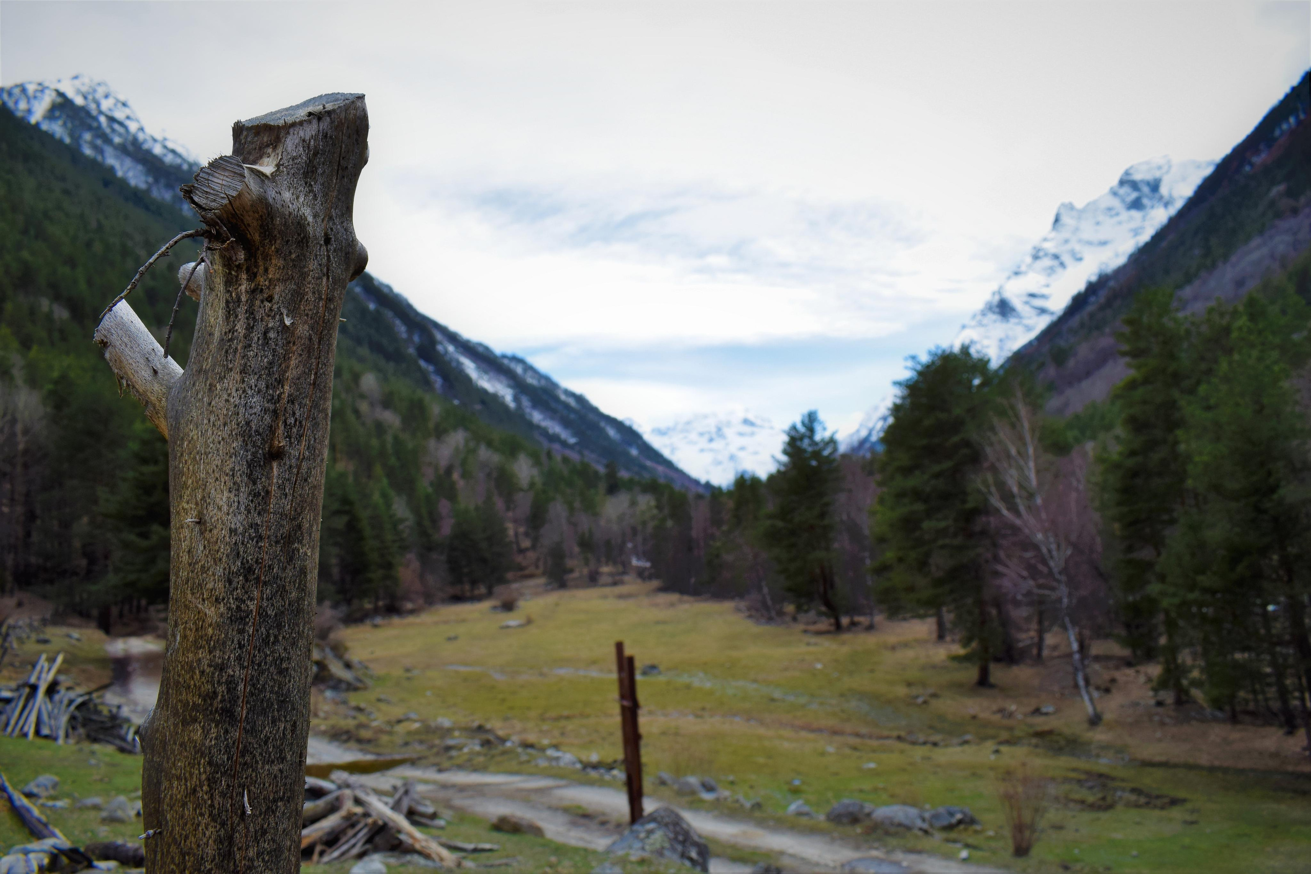 Природные пейзажи. «Фотографии в журналах: максимум жизнеподобия, минимум жизни. "