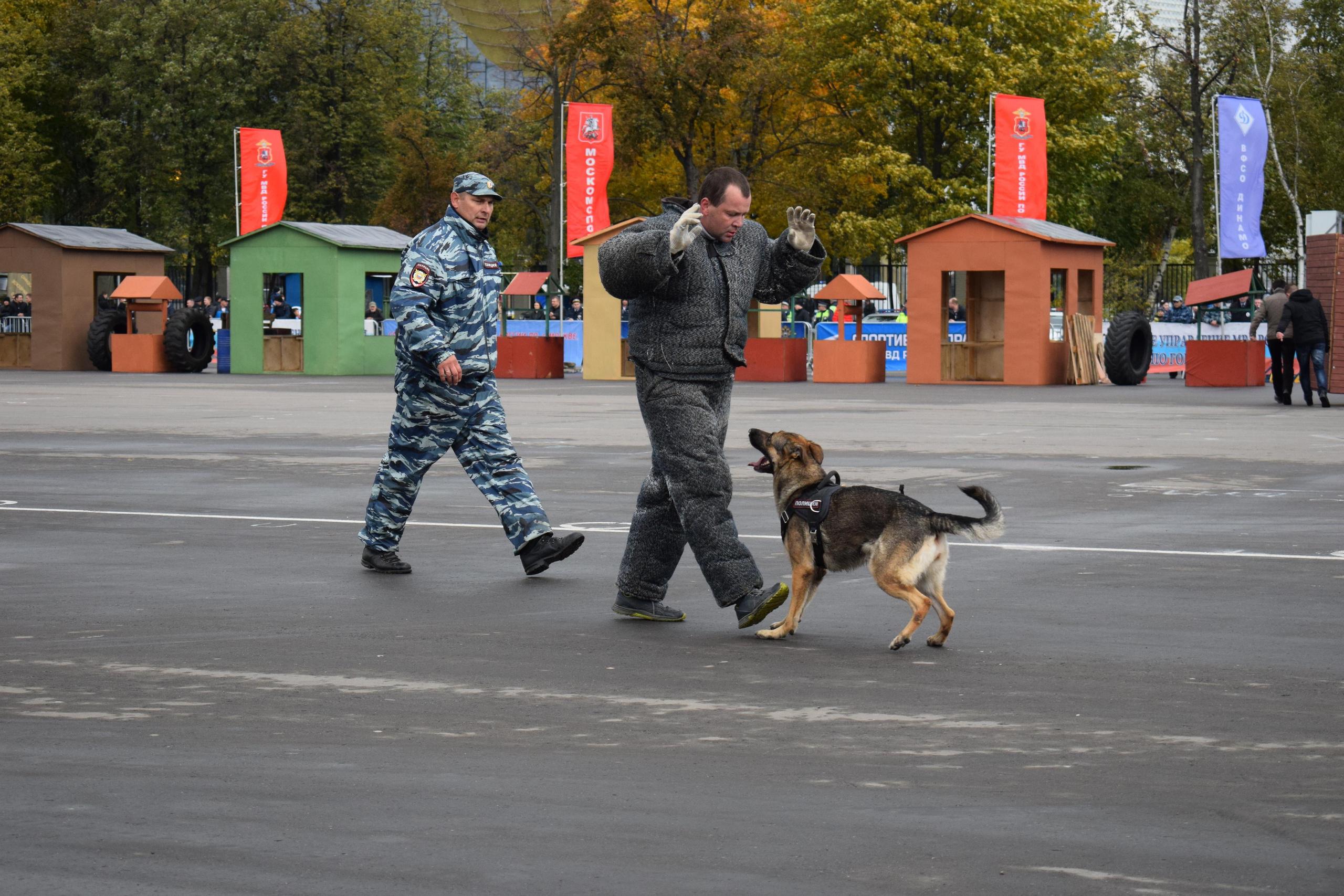Спортивный парад полиции. «Фотографии в журналах: максимум жизнеподобия, минимум жизни. "