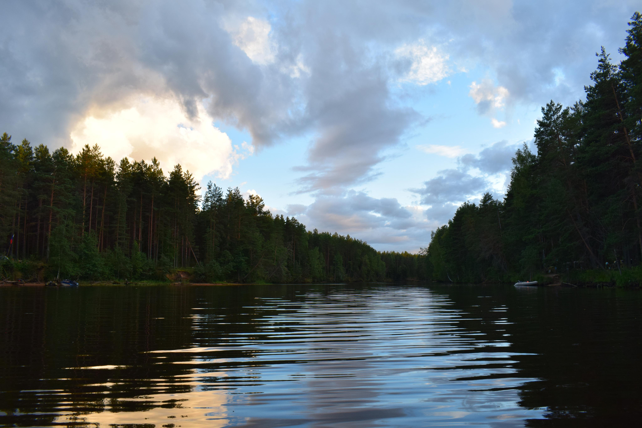Природные пейзажи. «Фотографии в журналах: максимум жизнеподобия, минимум жизни. "
