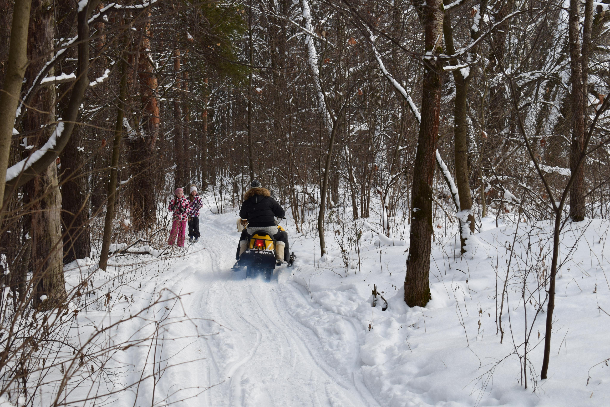 Природные пейзажи. «Фотографии в журналах: максимум жизнеподобия, минимум жизни. "