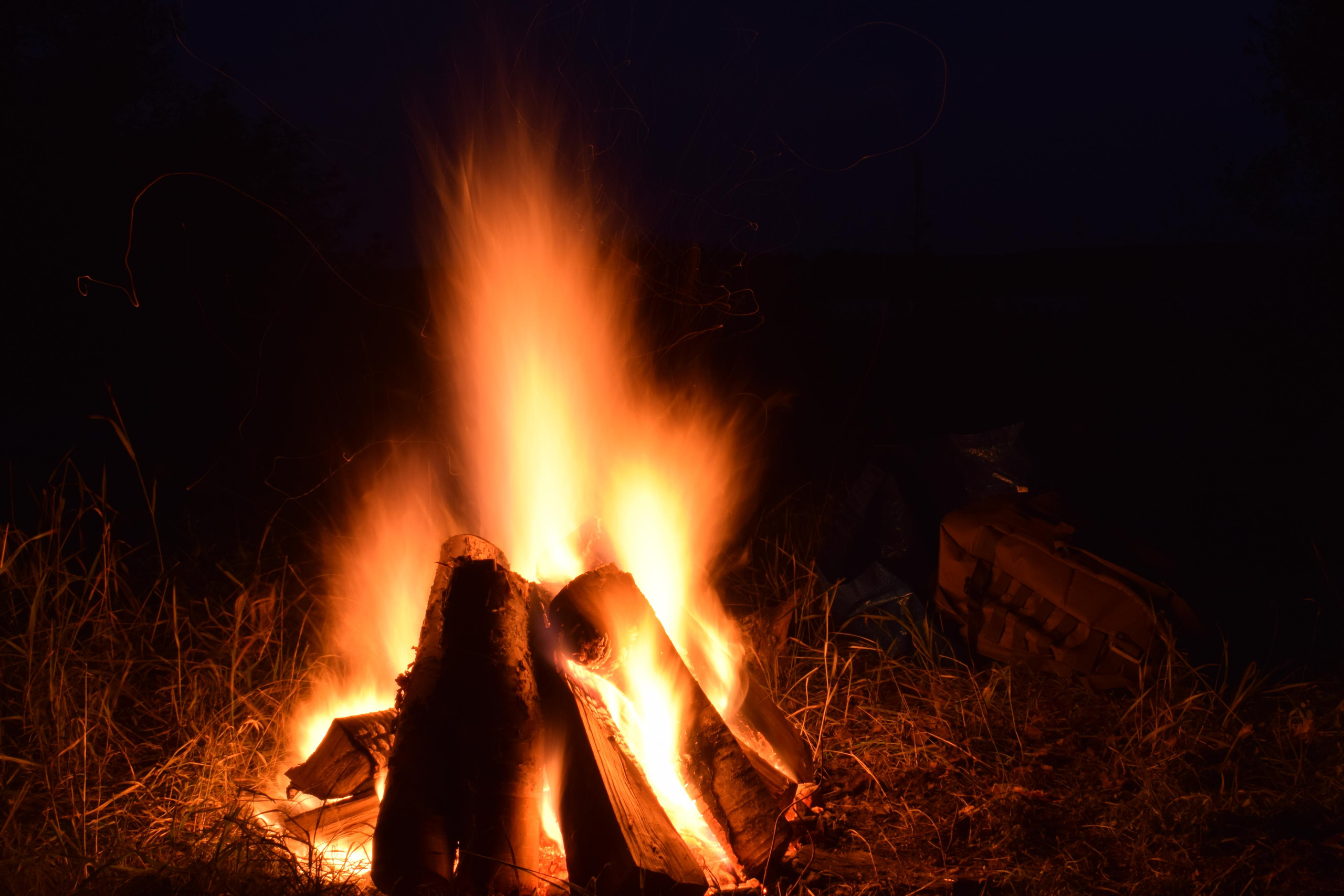 Природные пейзажи. «Фотографии в журналах: максимум жизнеподобия, минимум жизни. "