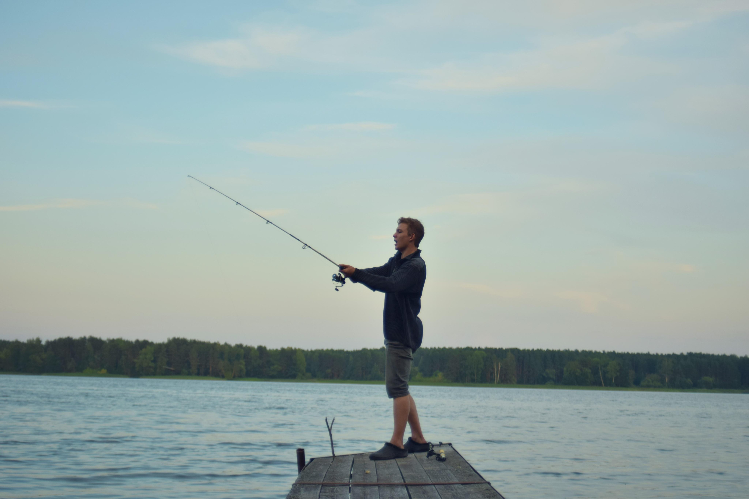 Природные пейзажи. «Фотографии в журналах: максимум жизнеподобия, минимум жизни. "