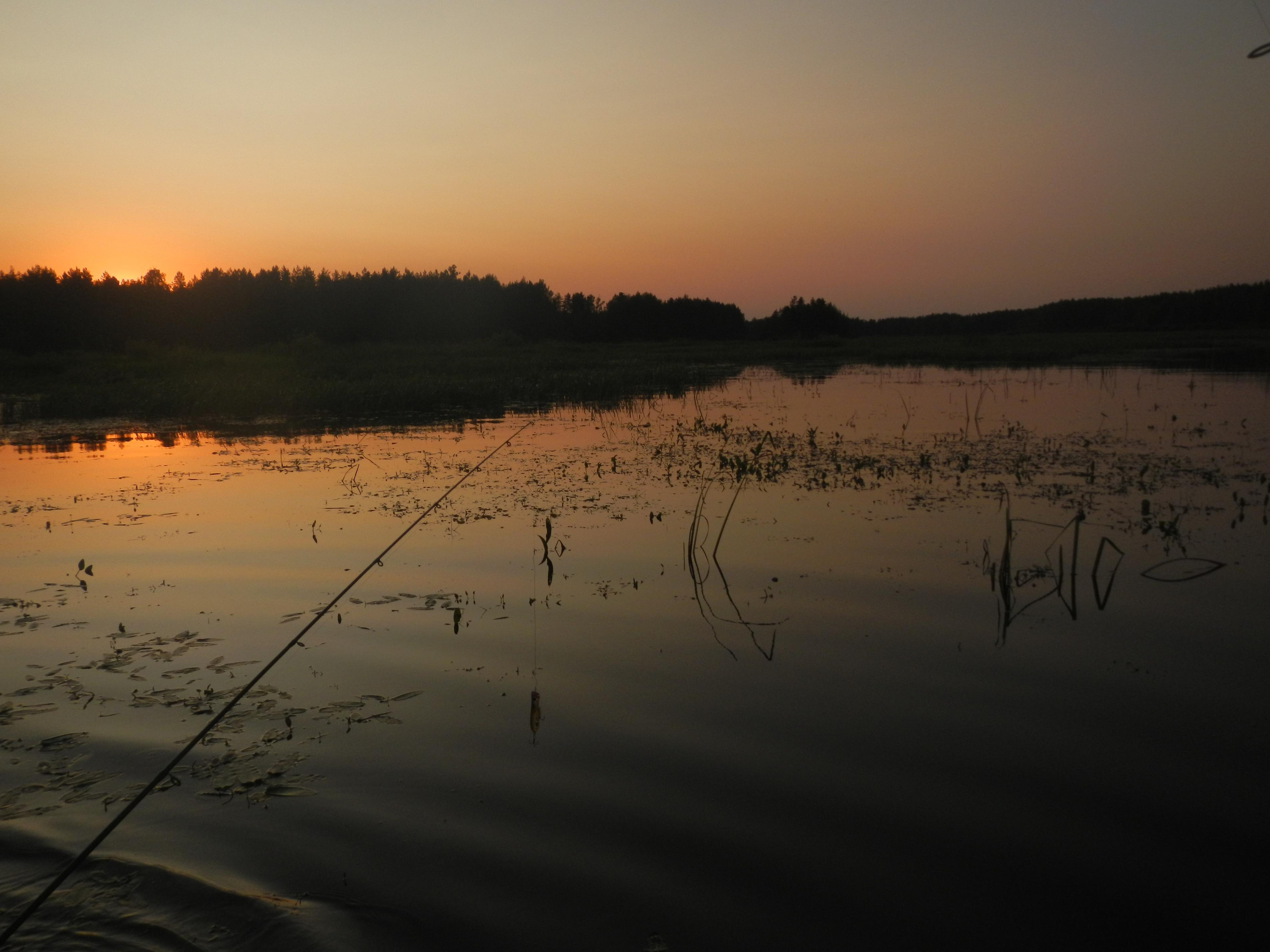 Природные пейзажи. «Фотографии в журналах: максимум жизнеподобия, минимум жизни. "