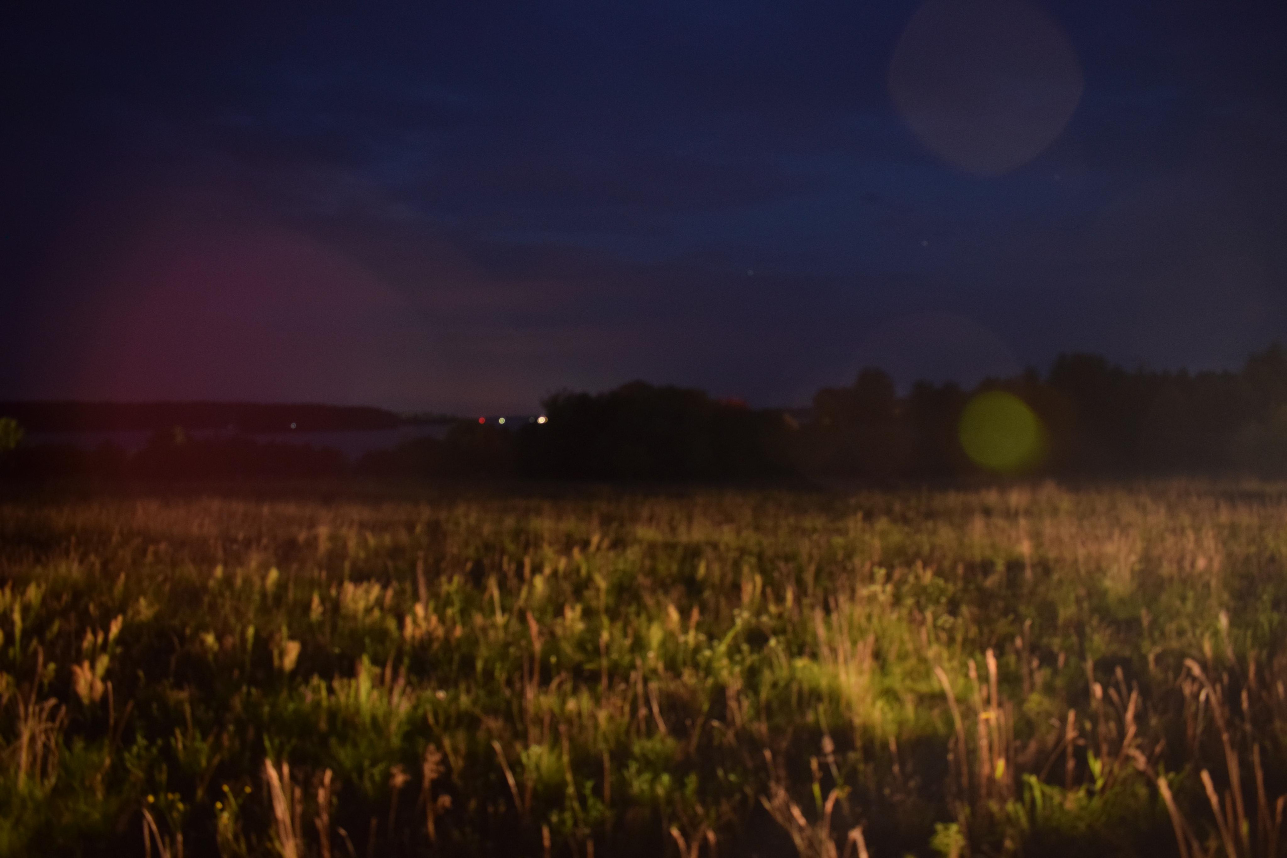 Природные пейзажи. «Фотографии в журналах: максимум жизнеподобия, минимум жизни. "