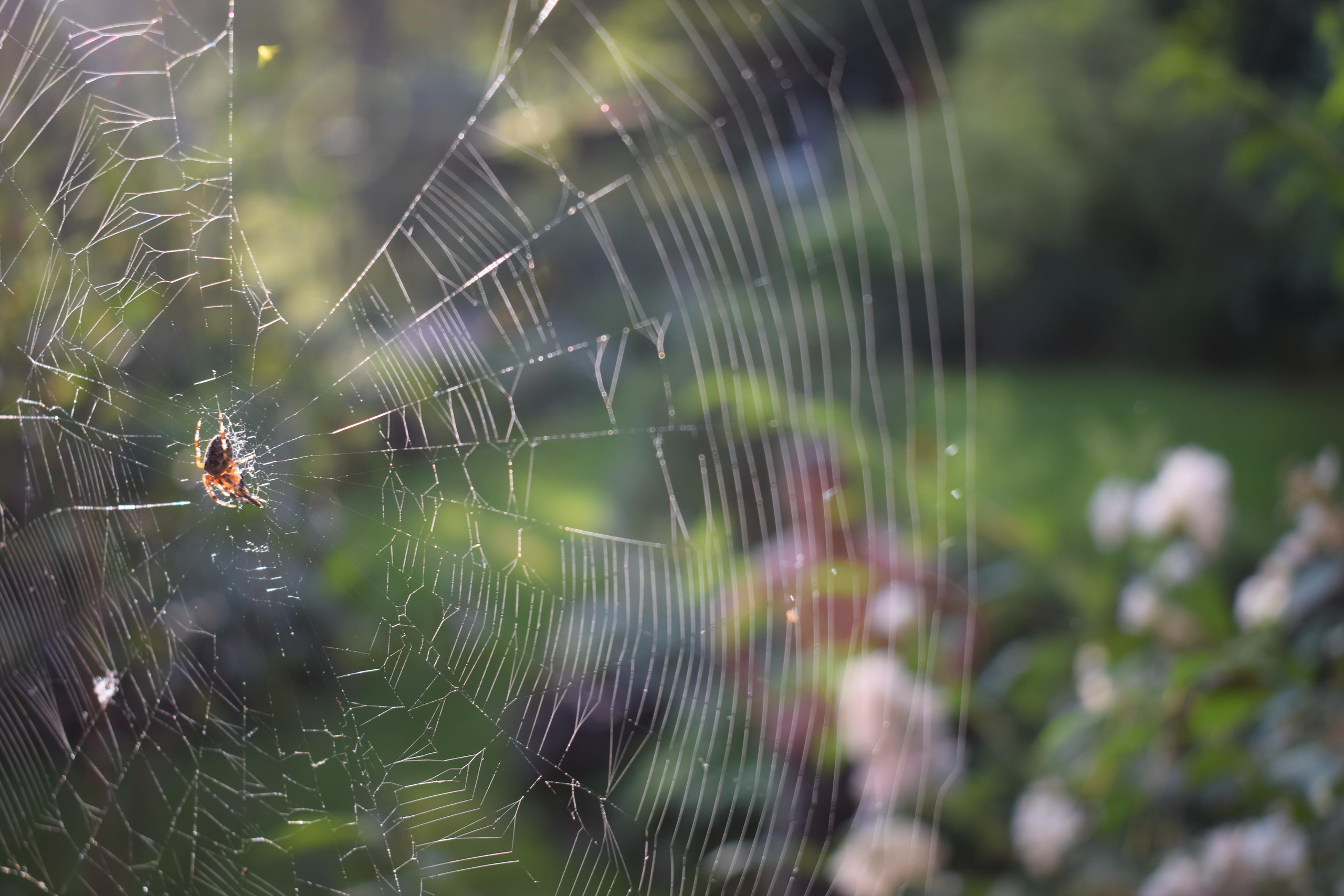 «Фотоохота». «Фотографии в журналах: максимум жизнеподобия, минимум жизни. "