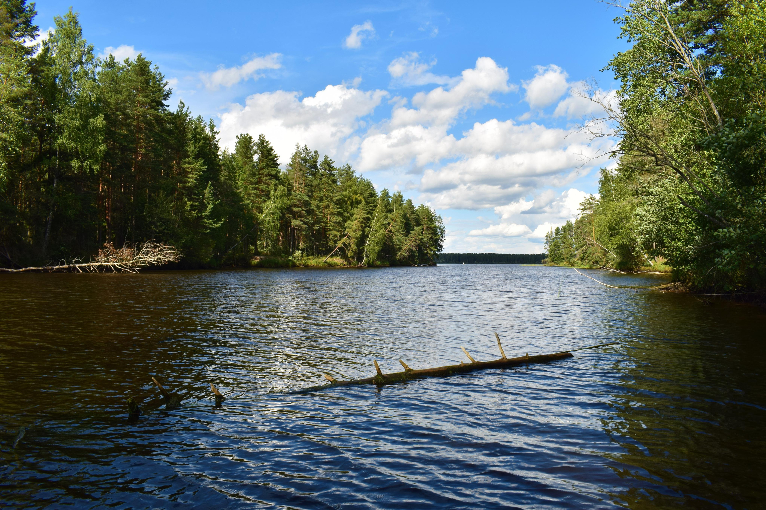 Природные пейзажи. «Фотографии в журналах: максимум жизнеподобия, минимум жизни. "
