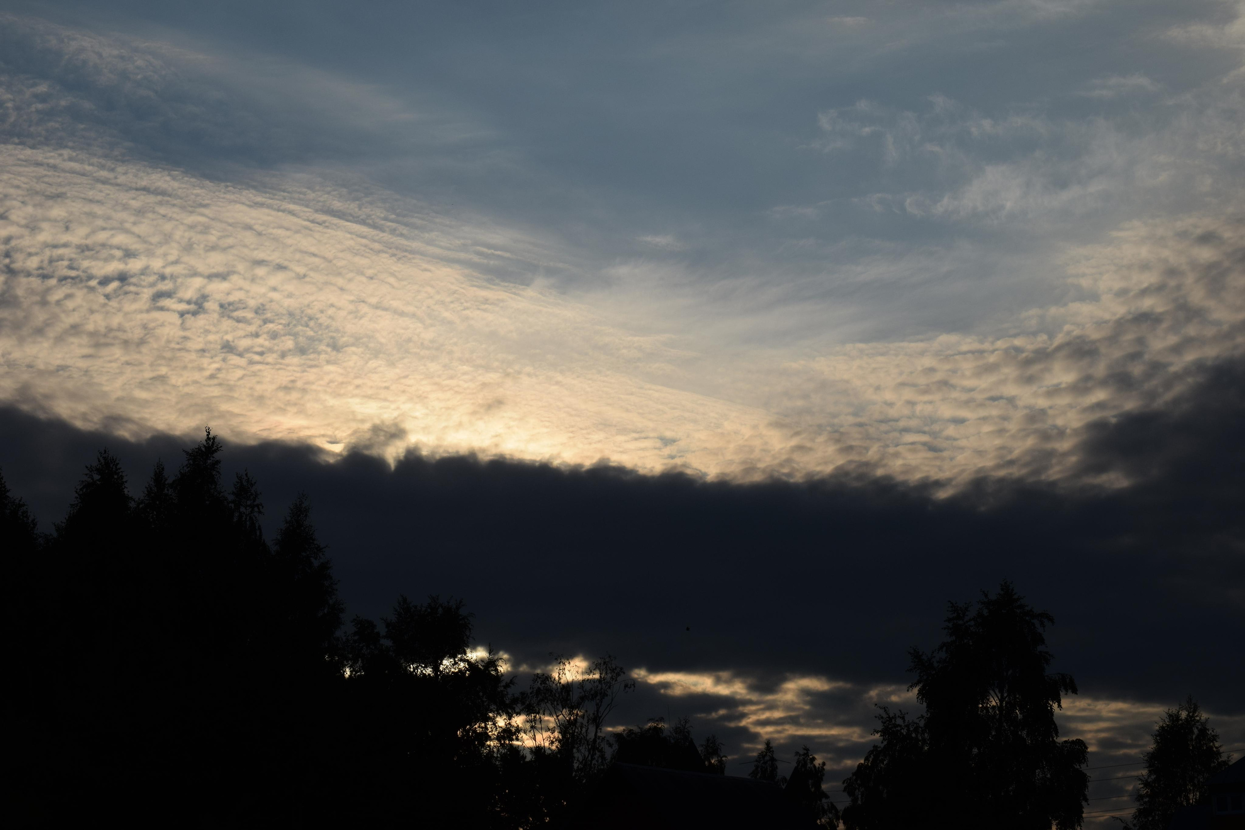 Природные пейзажи. «Фотографии в журналах: максимум жизнеподобия, минимум жизни. "