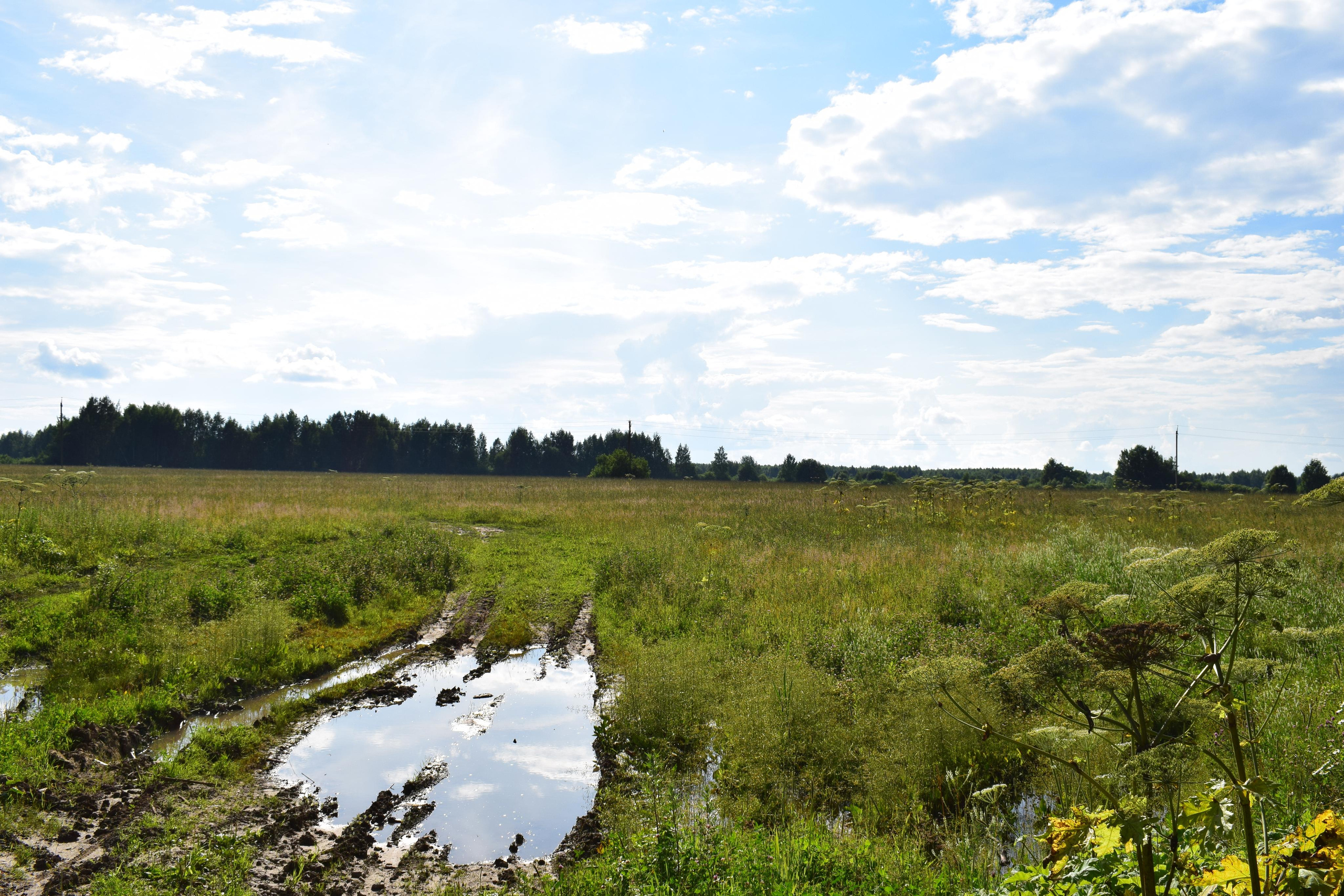 Природные пейзажи. «Фотографии в журналах: максимум жизнеподобия, минимум жизни. "